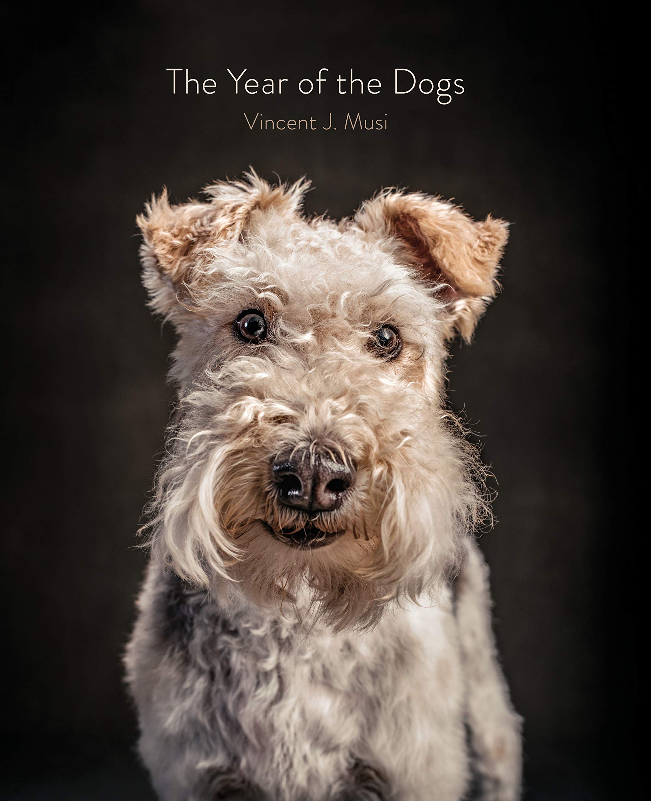 The Year of the Dogs Nature & Animals