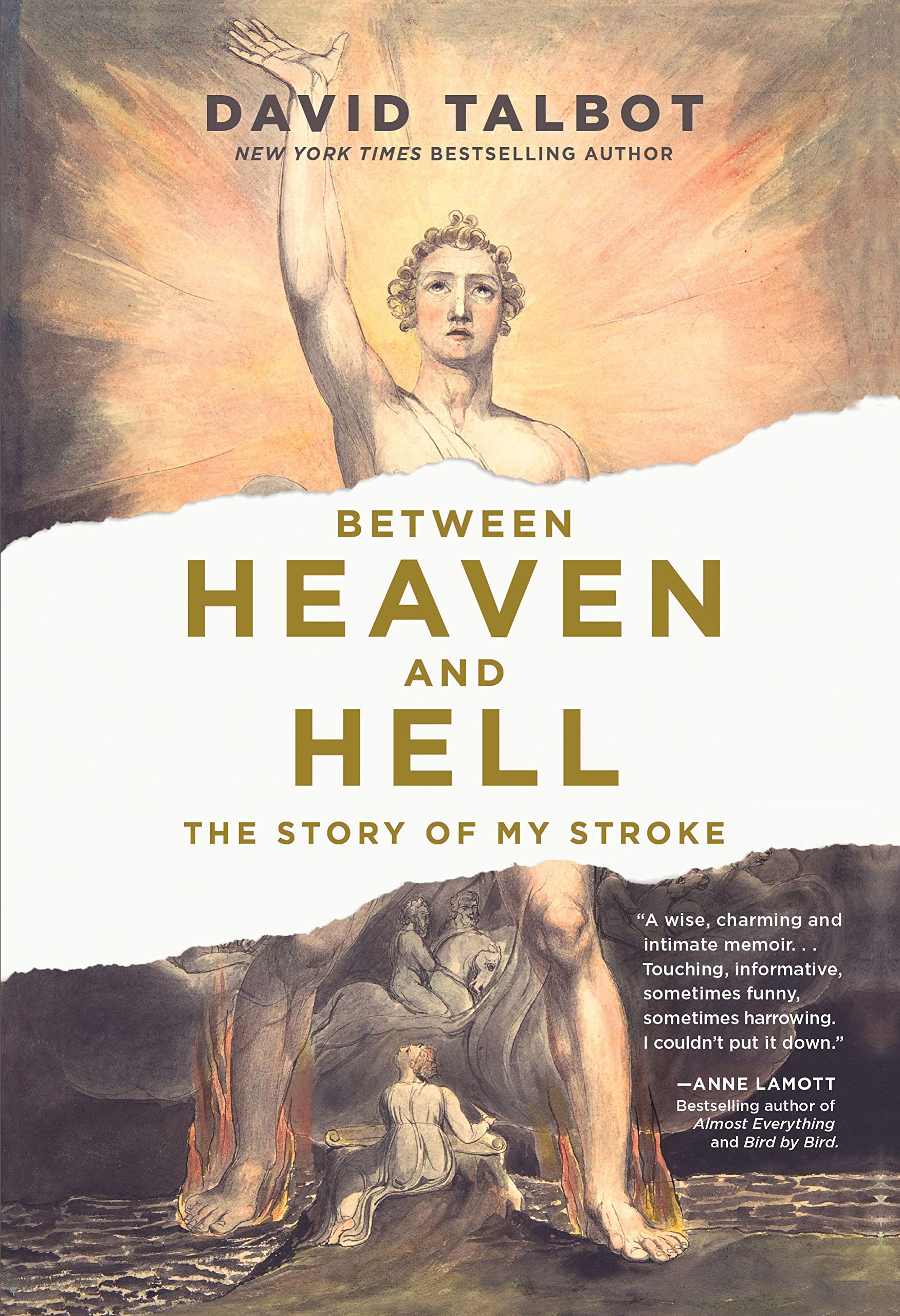 Between Heaven and Hell: The Story of My Stroke Science
