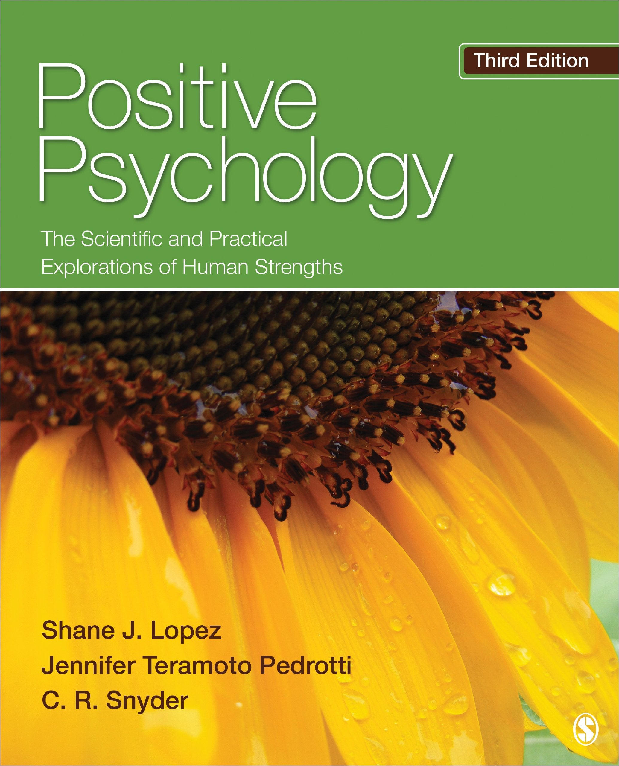 Positive Psychology: The Scientific and Practical Explorations of Human Strengths Psychology