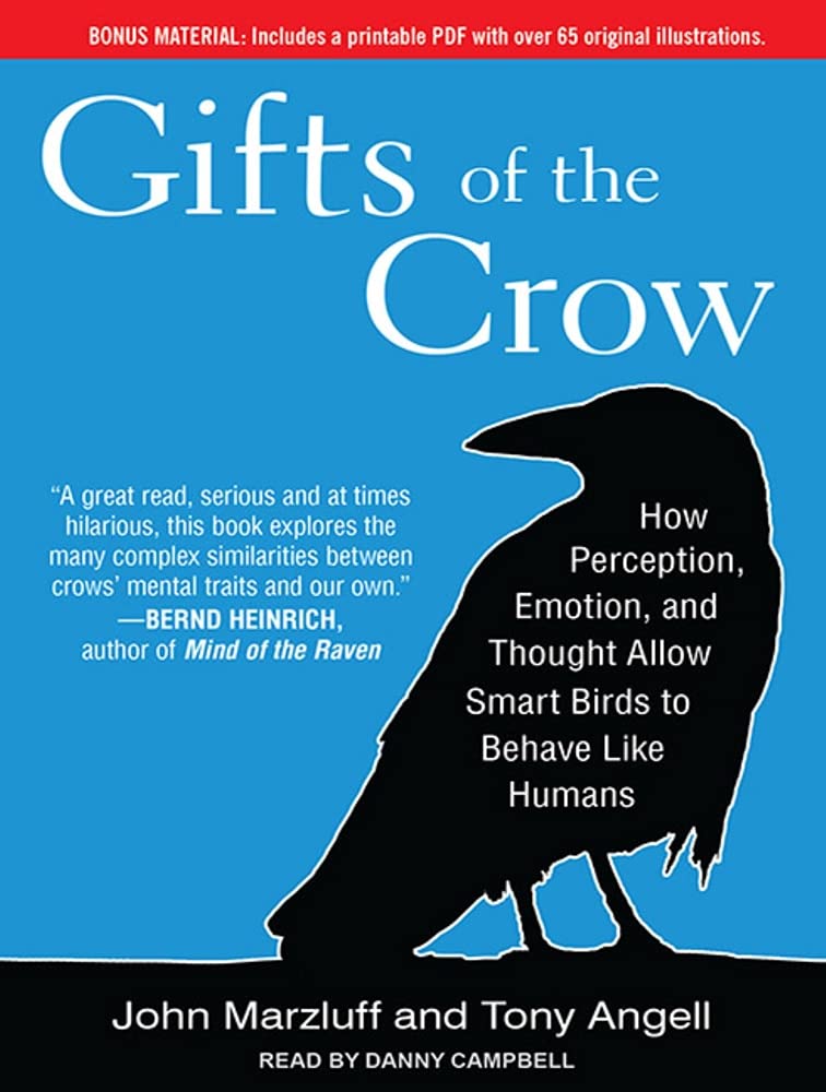 Gifts of the Crow: How Perception, Emotion, and Thought Allow Smart Birds to Behave Like Humans Mathematics