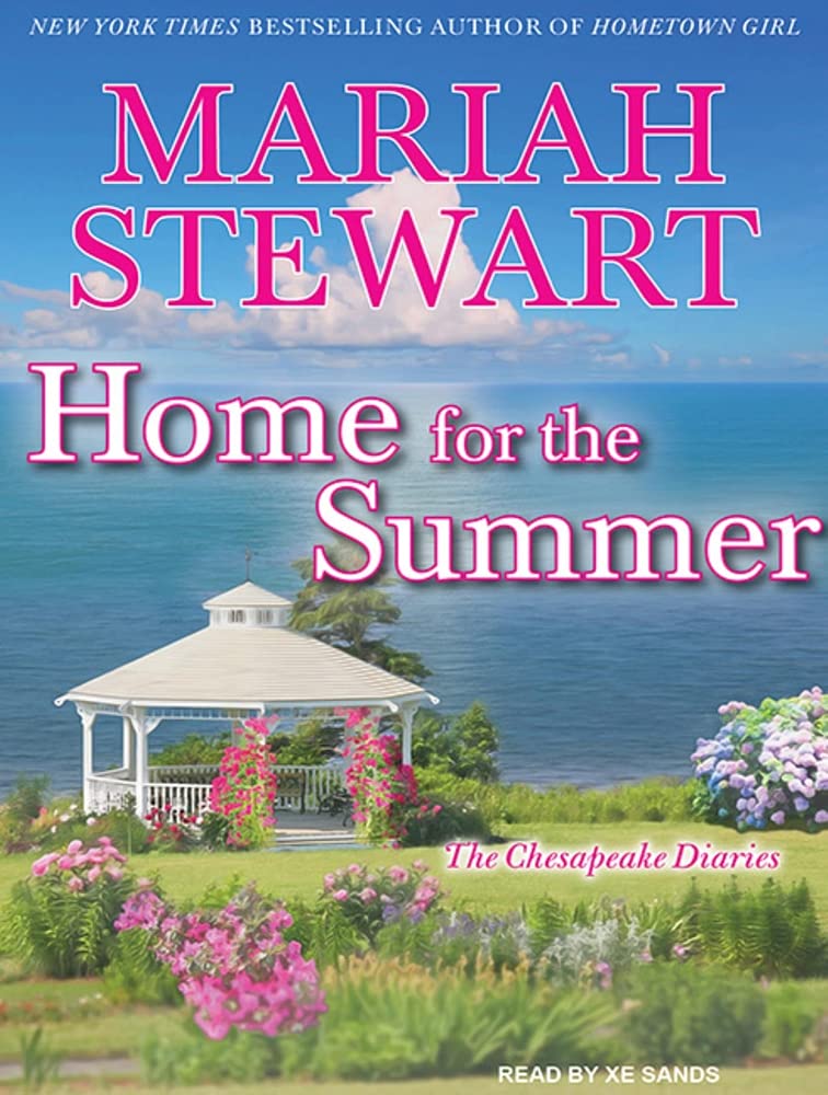Home for the Summer (Chesapeake Diaries, Band 5) Contemporary literature