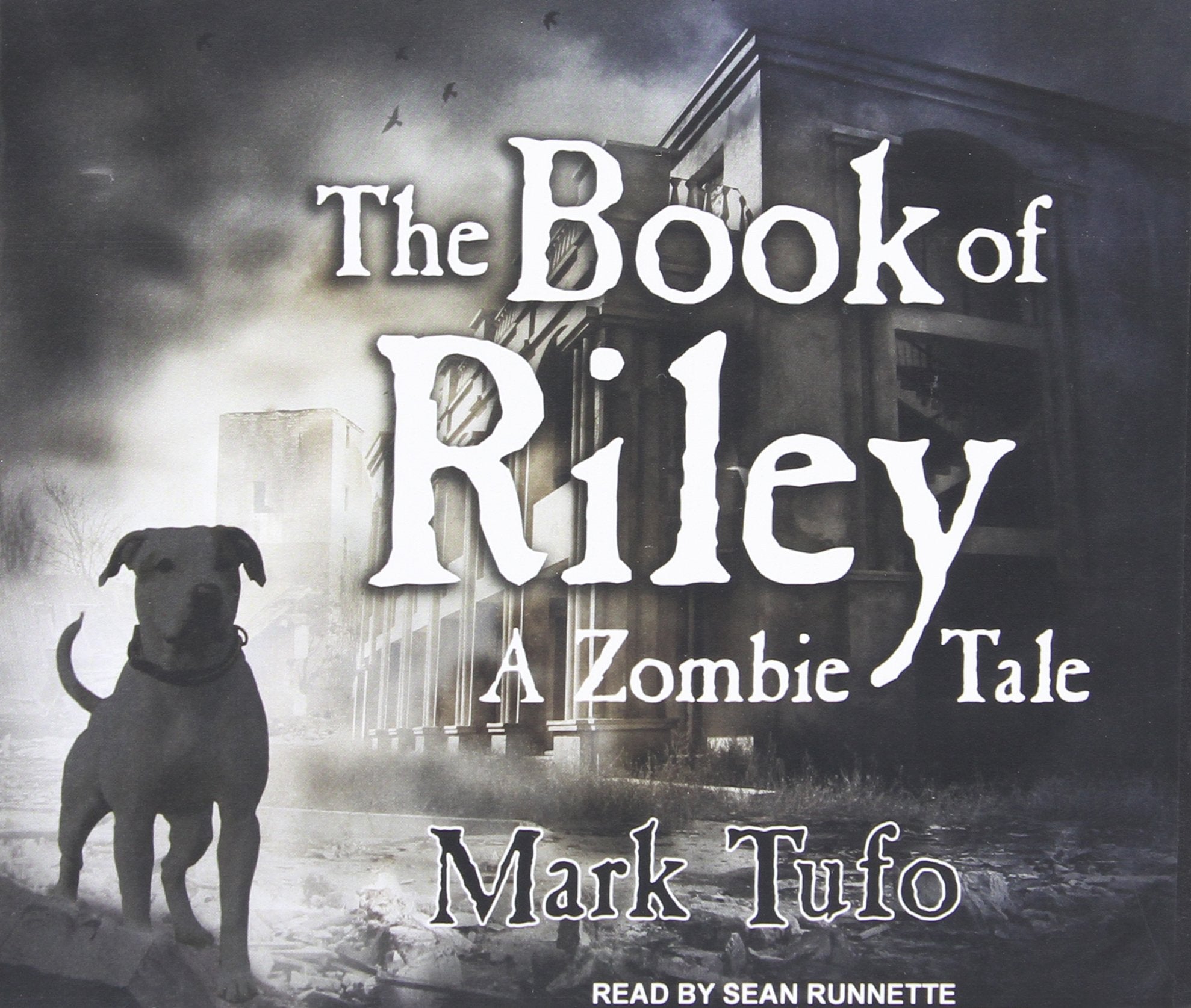 The Book of Riley: A Zombie Tale Contemporary literature