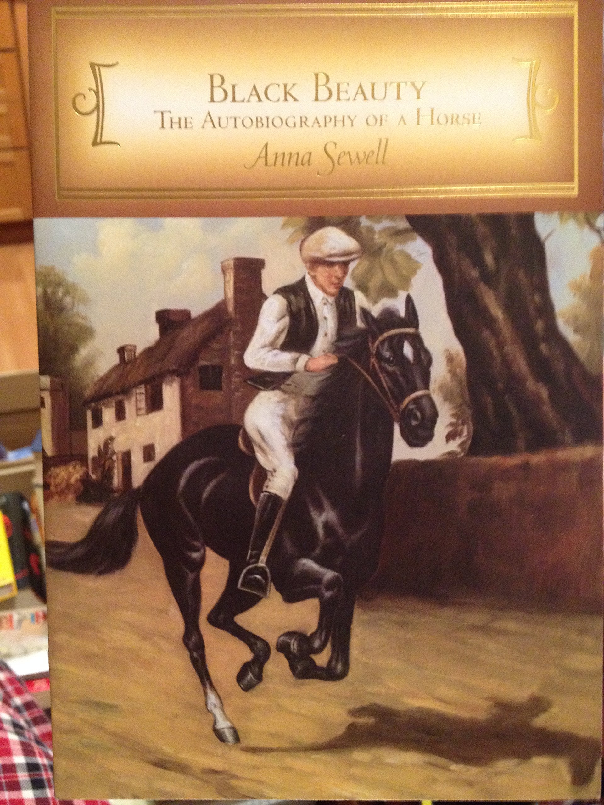 Black Beauty: The Autobiography of a Horse Books
