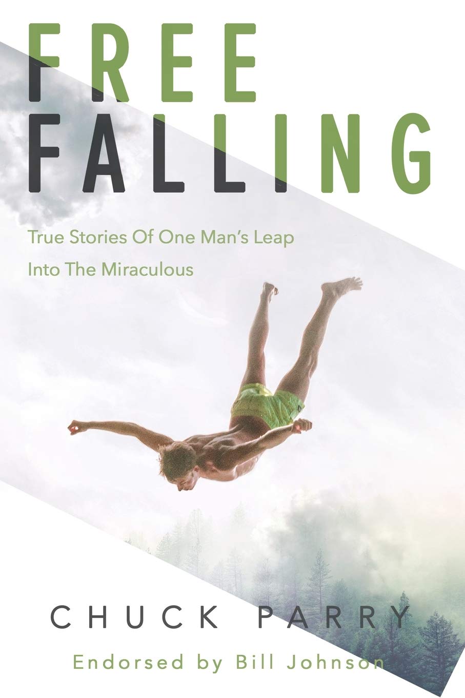 Free-Falling: True Stories of One Man's Leap into the Miraculous Politics & Society