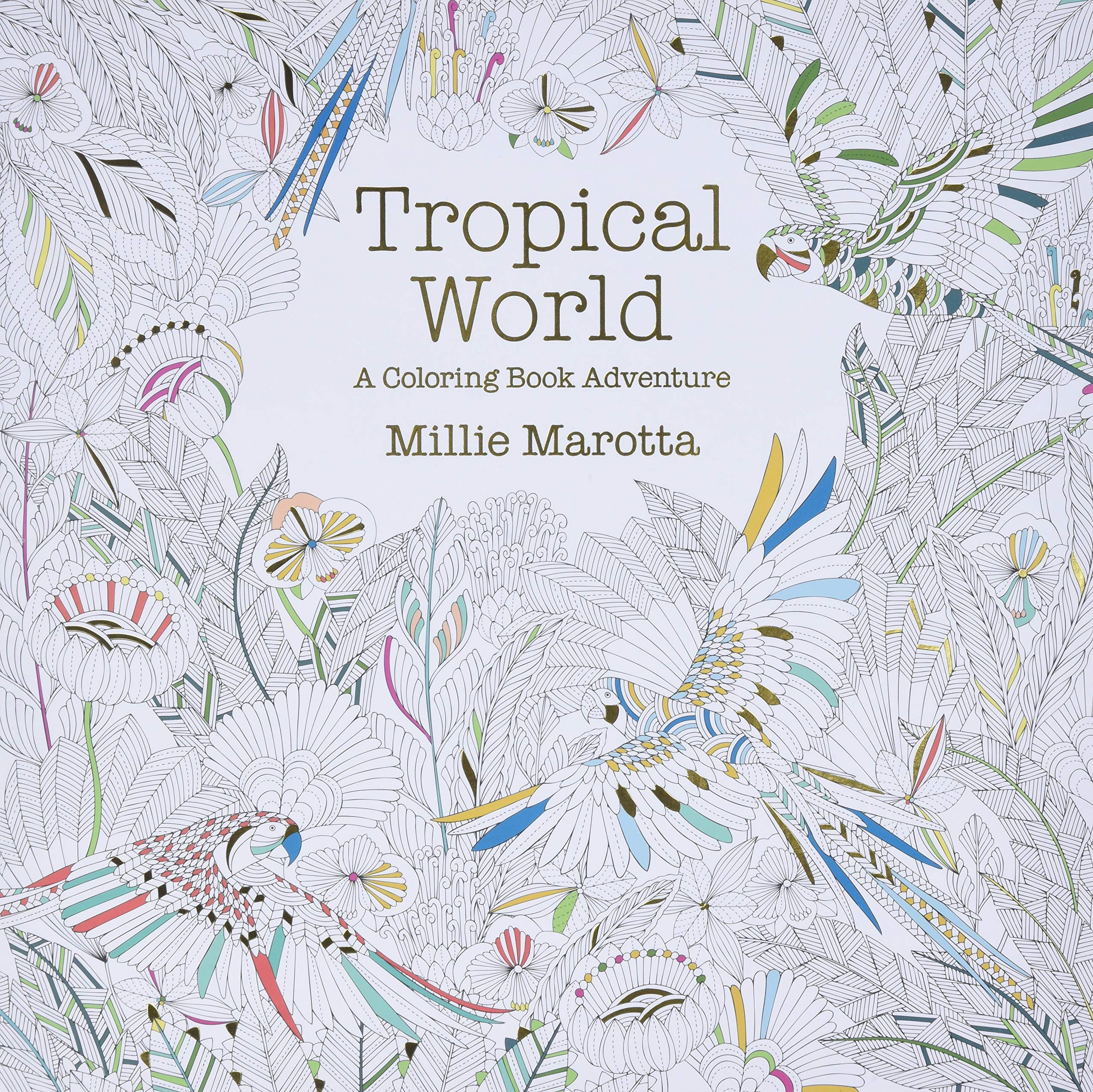 Tropical World Social Sciences Books