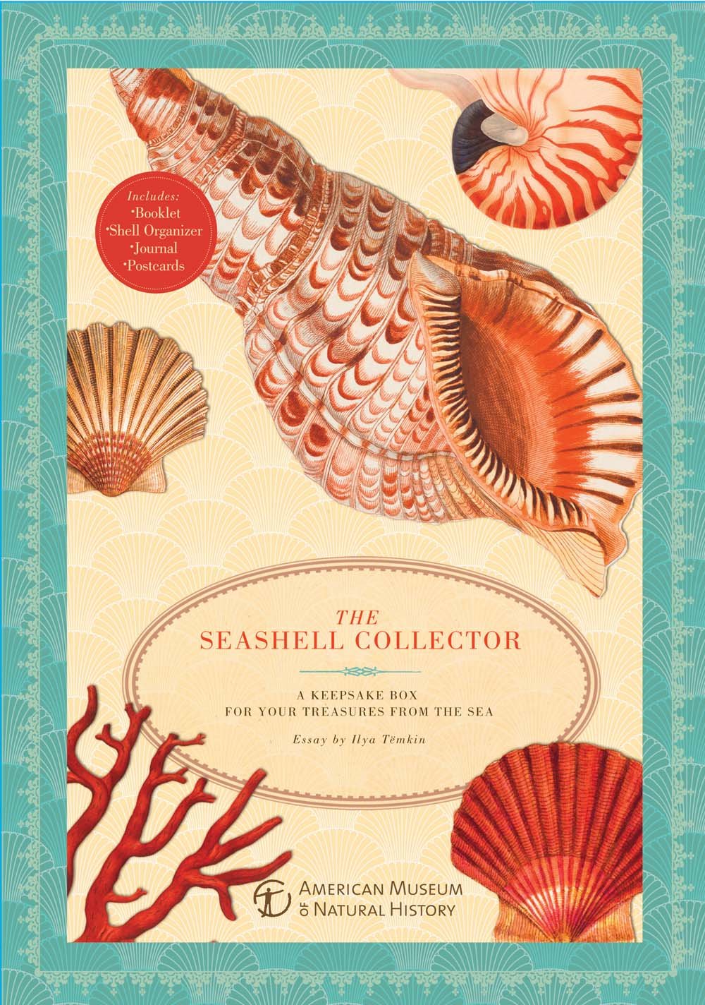 The Seashell Collector: A Keepsake Box for Your Treasures from the Sea Mathematics
