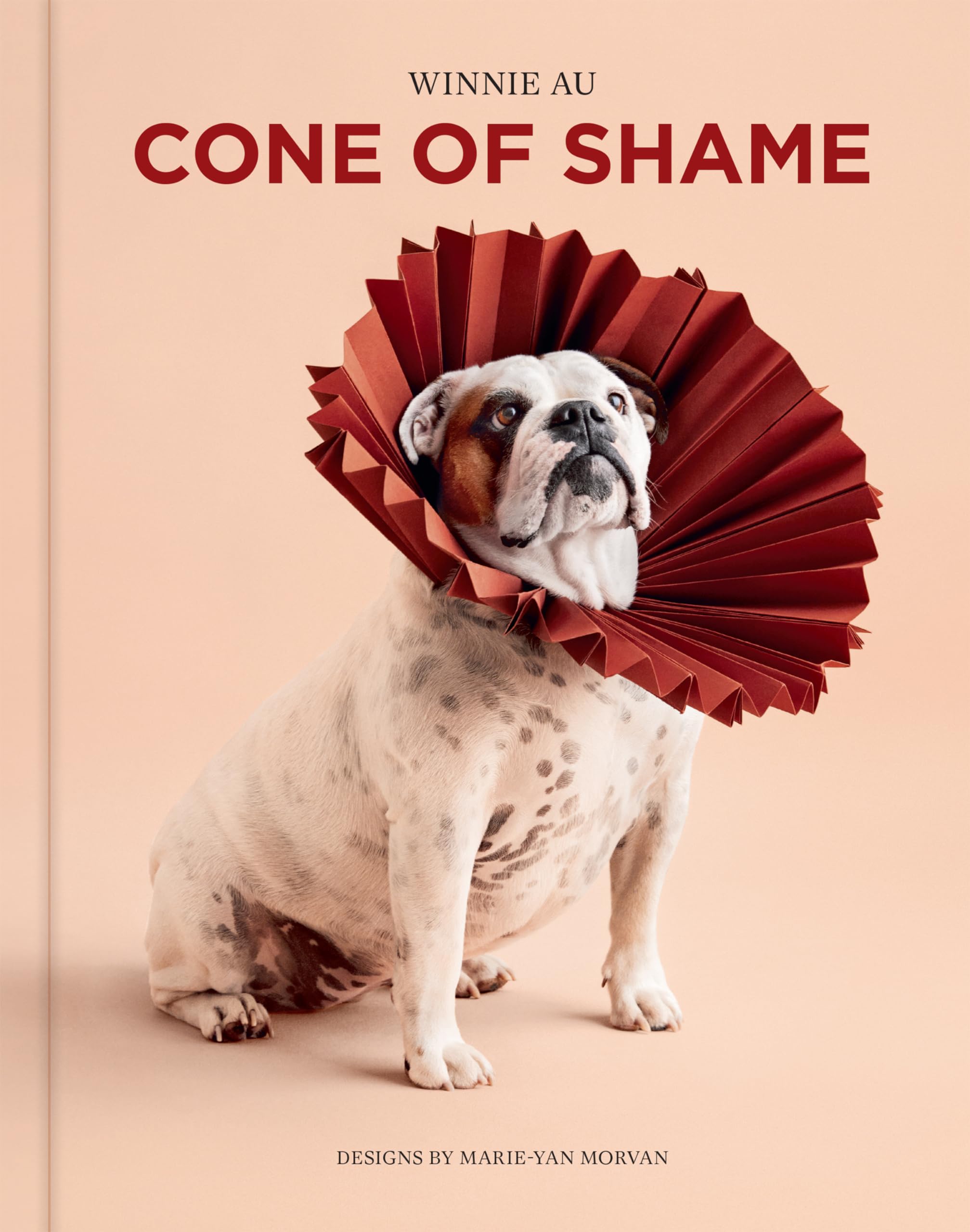 Product Image: Cone of Shame