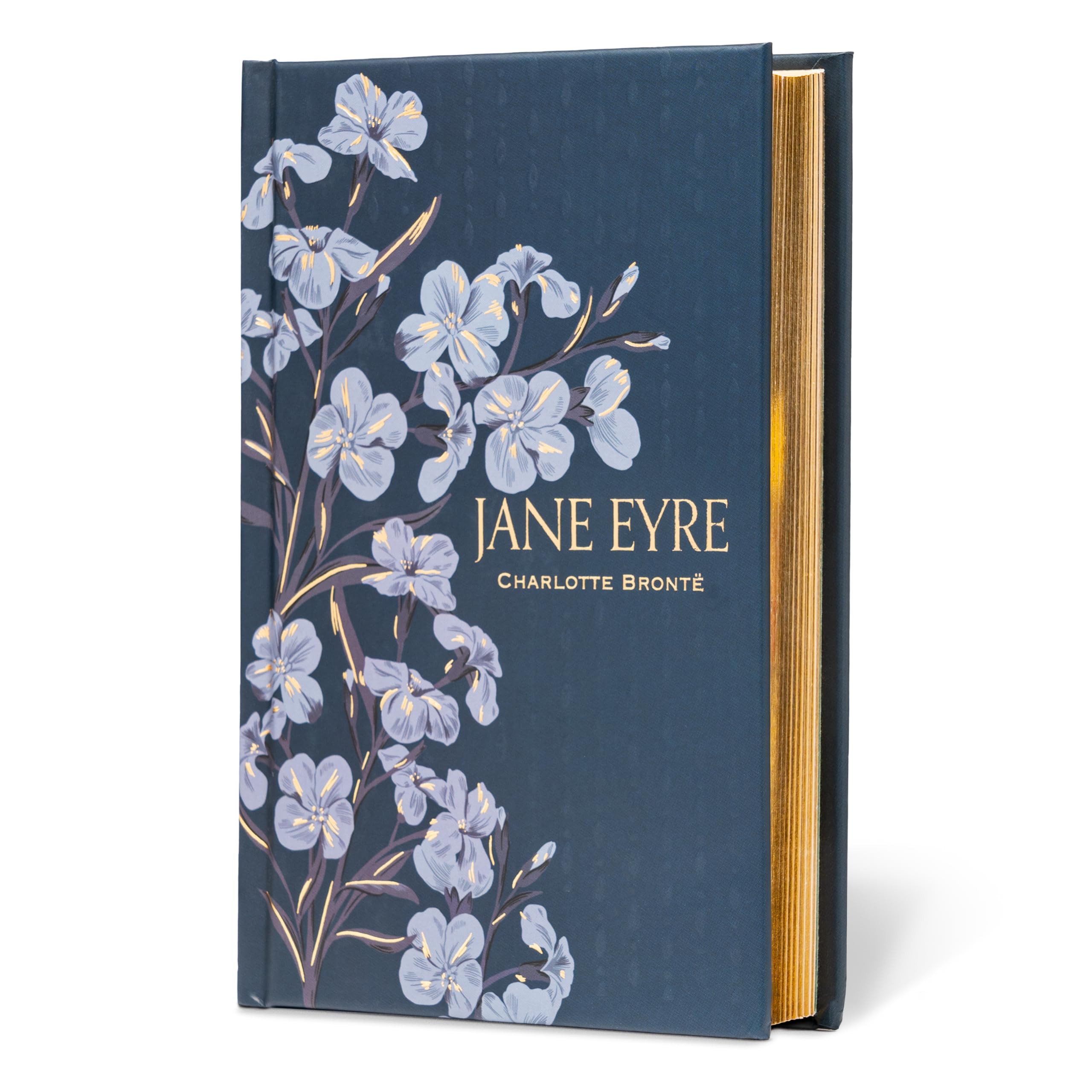 Jane Eyre (Special Edition) Contemporary literature Books