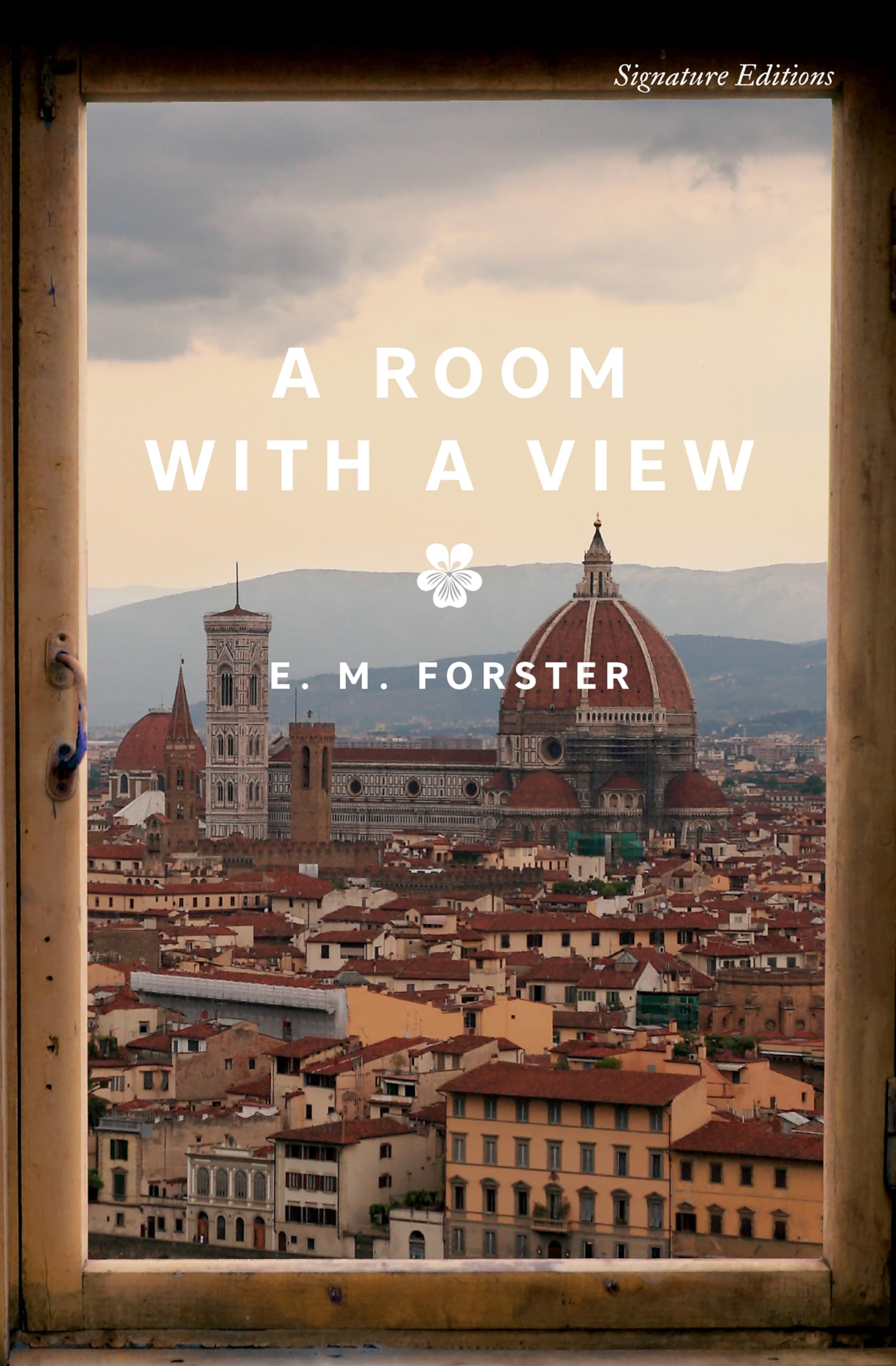 A Room with a View Contemporary literature Books