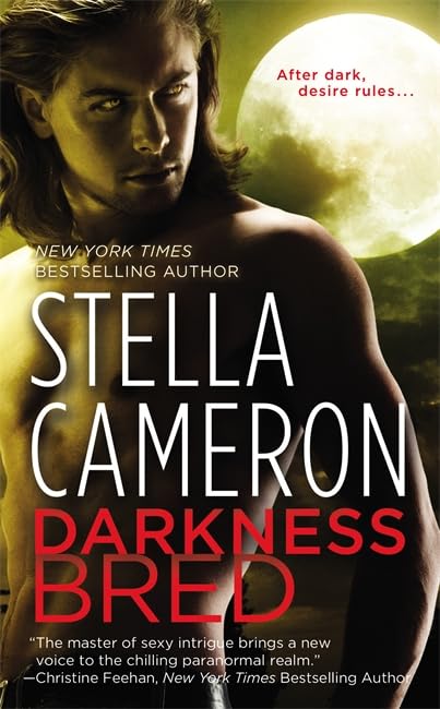Darkness Bred: Number 2 in series (Chimney Rock, 2, Band 2) Contemporary literature