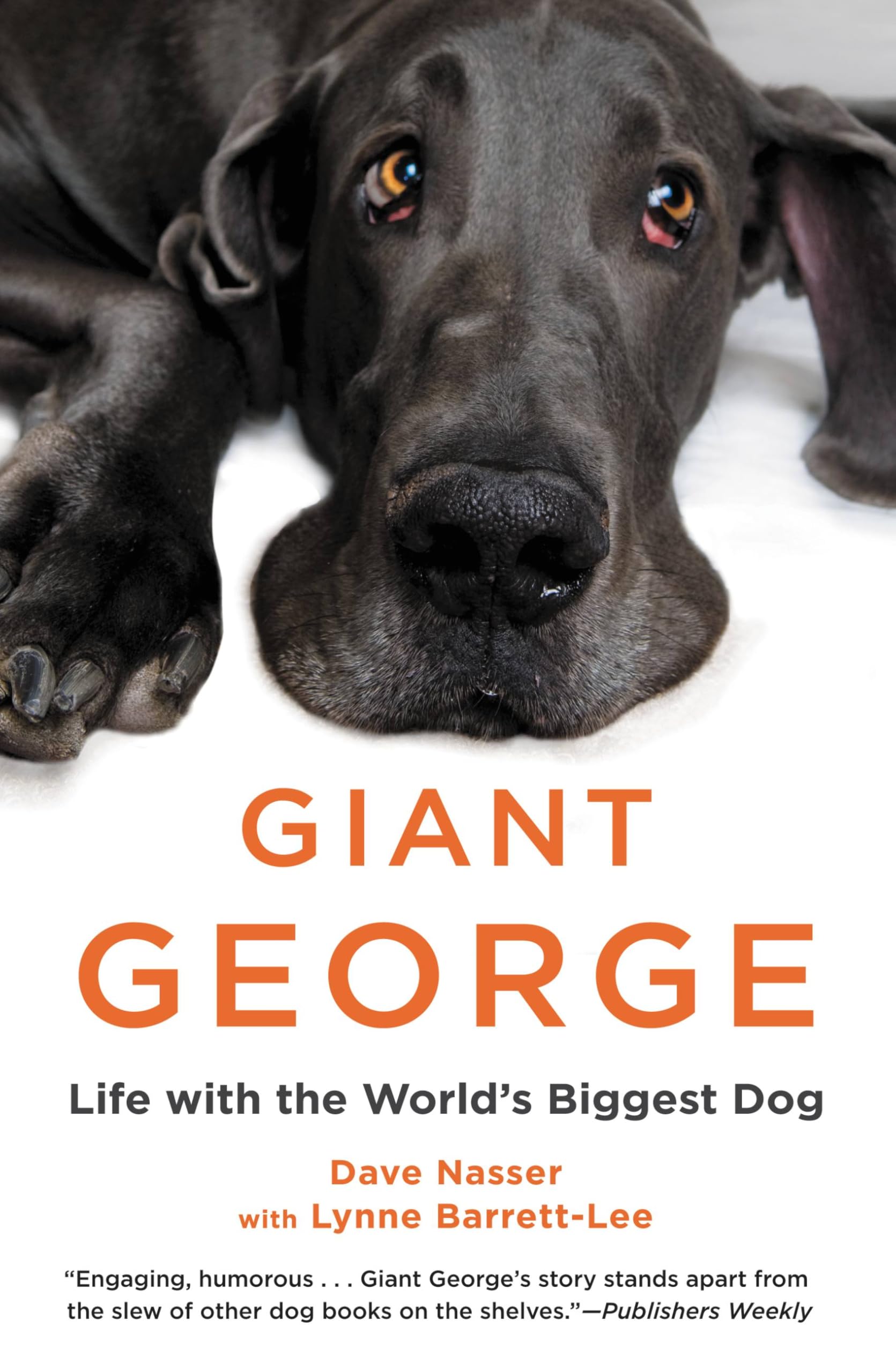 Product Image: Giant George