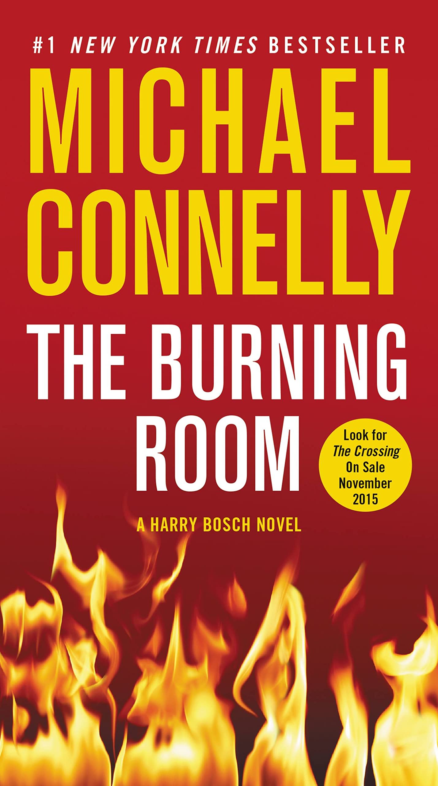 The Burning Room Contemporary literature Books