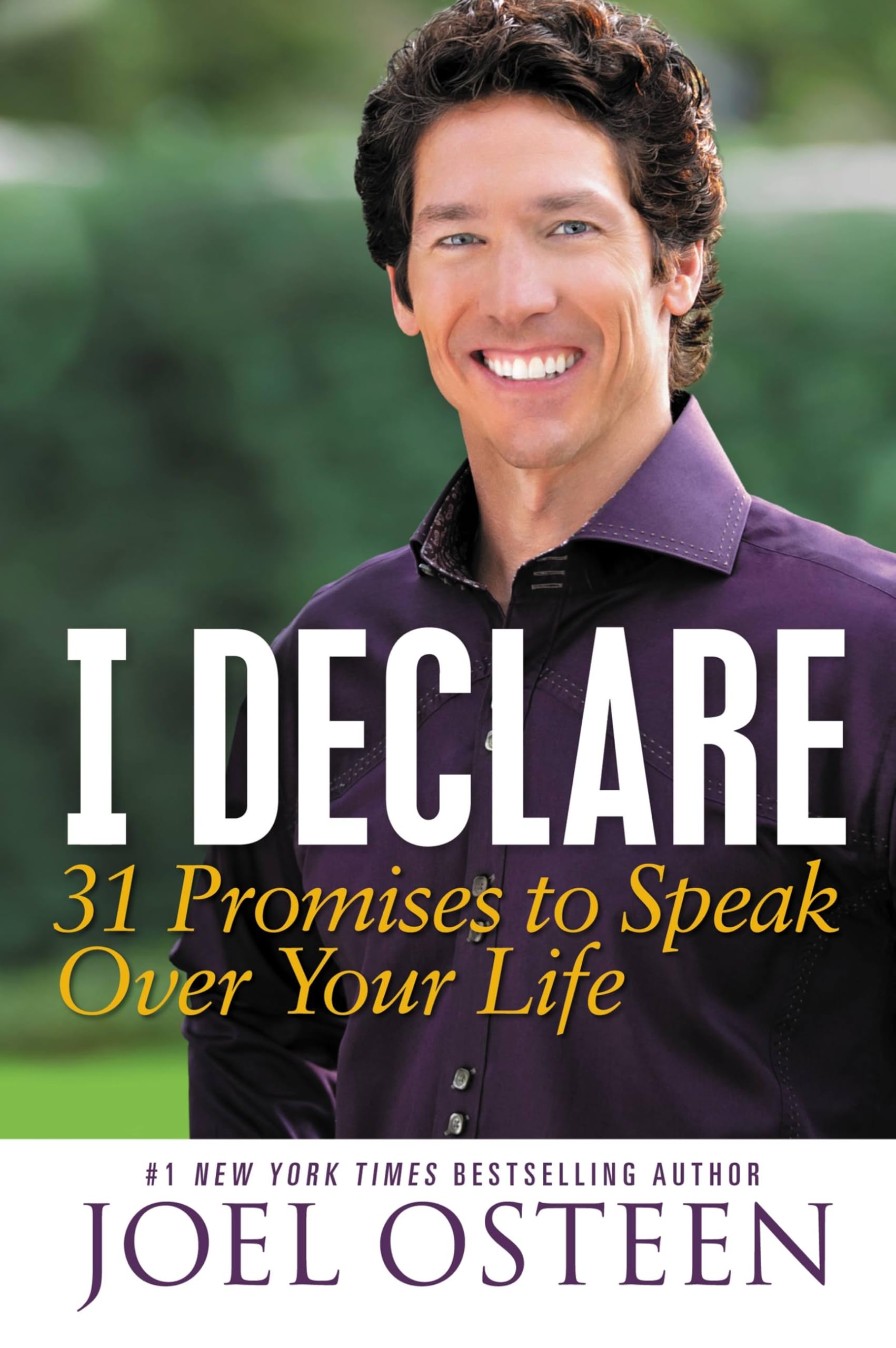 I Declare: 31 Promises to Speak Over Your Life Social Sciences