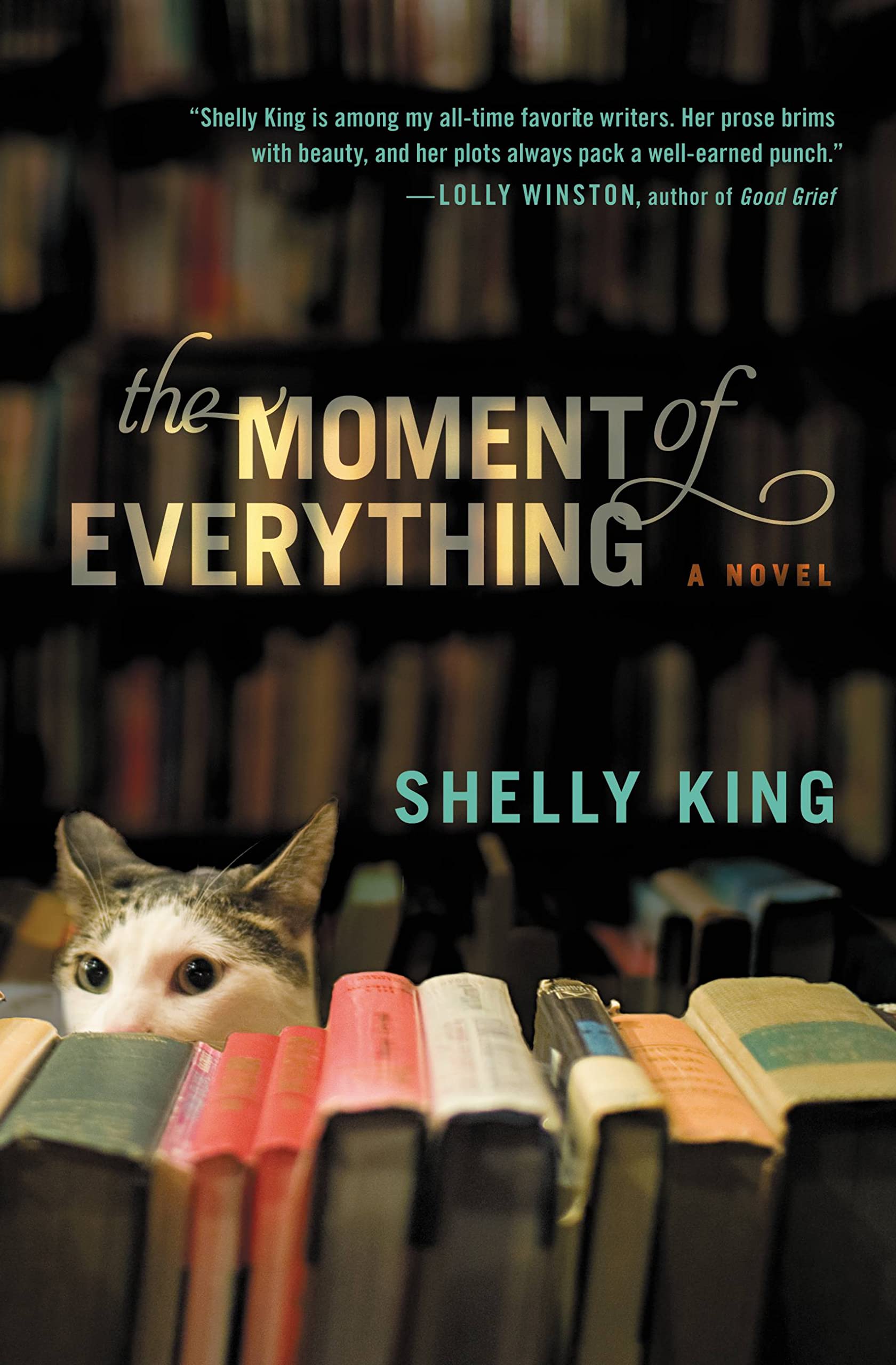 The Moment of Everything: A Novel Contemporary literature