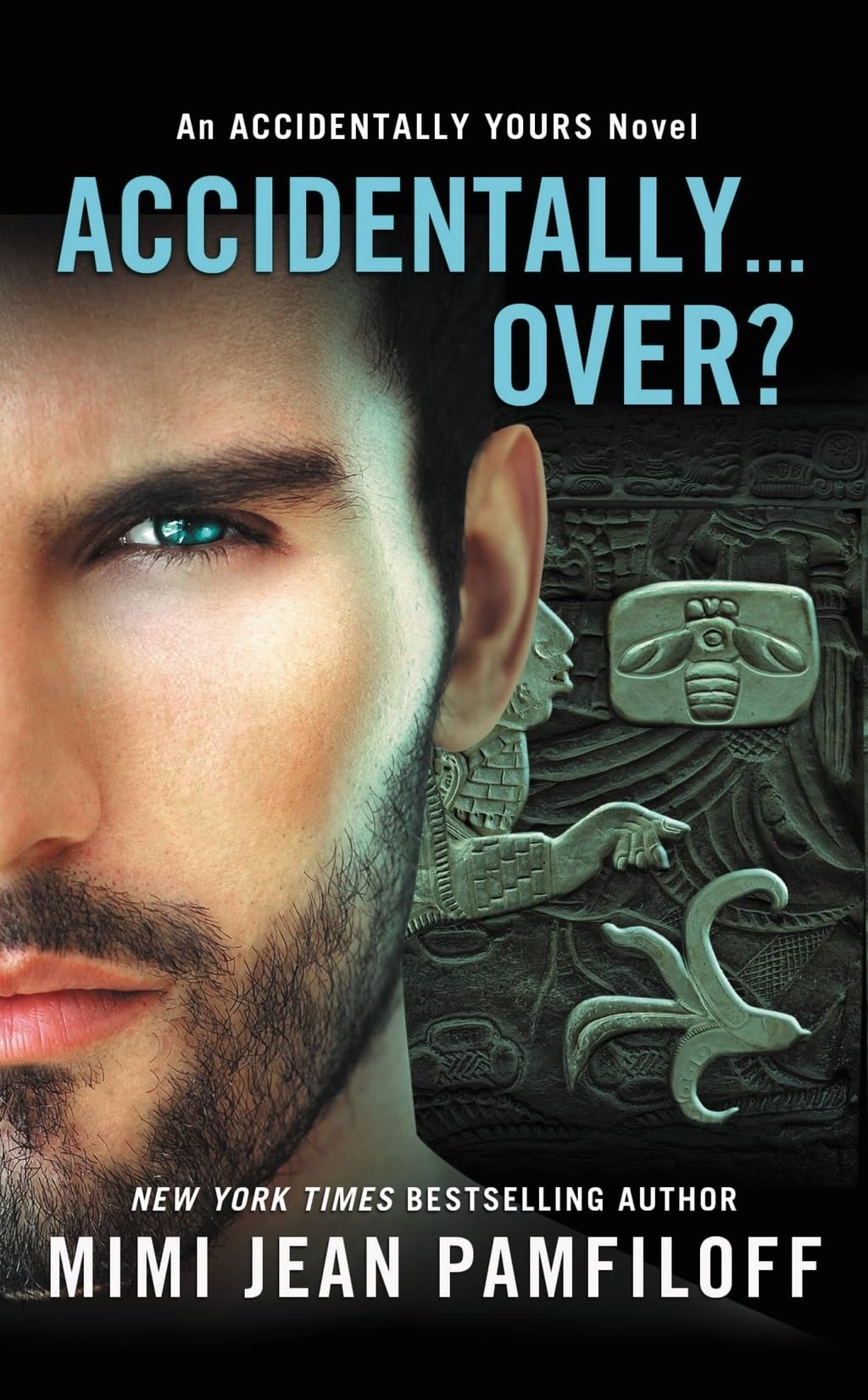 Accidentally...Over? (Accidentally Yours, 5) Contemporary literature