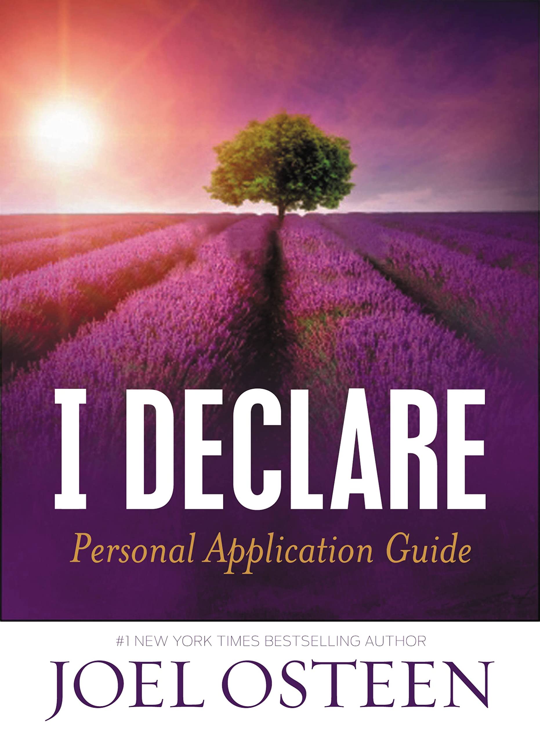 I Declare Personal Application Guide Film, Art & Culture