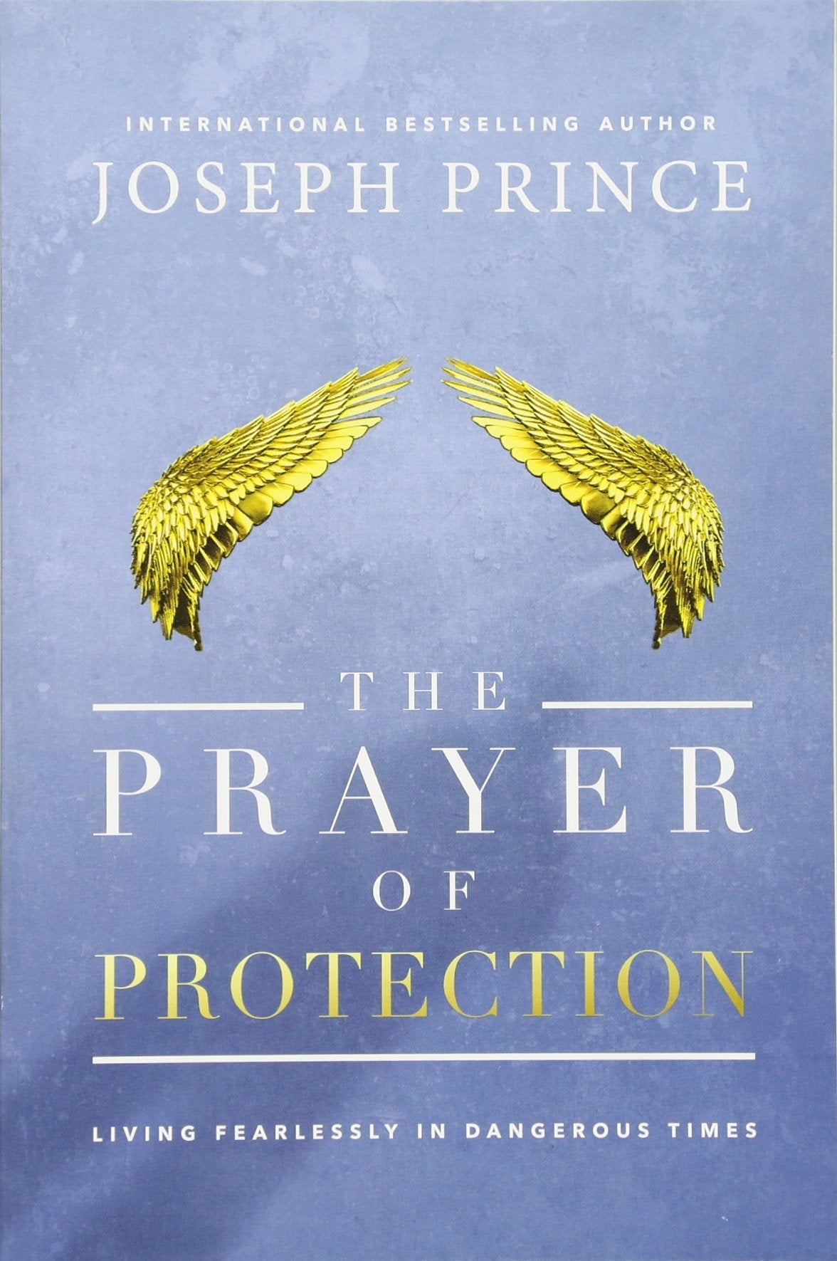The Prayer of Protection: Living Fearlessly in Dangerous Times Business, Finance & Career