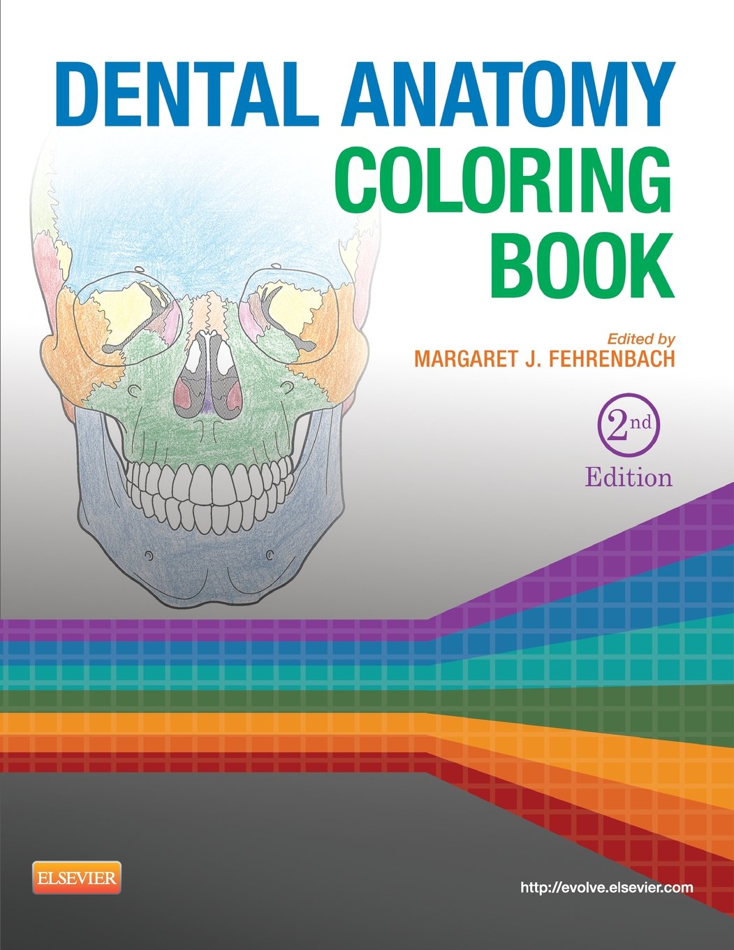 Dental Anatomy Coloring Book Medicine
