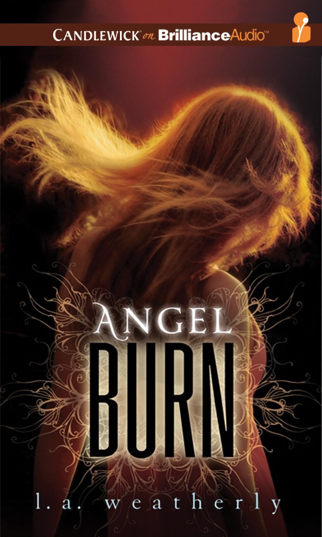 Product Image: Angel Burn: Library Edition