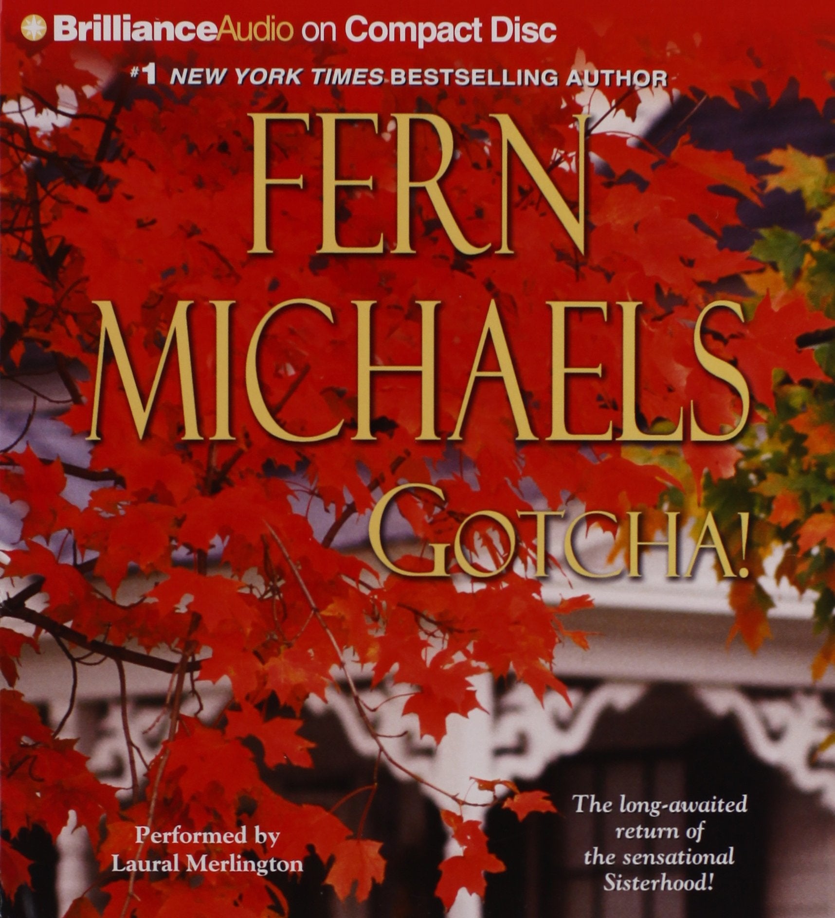 Gotcha! (Sisterhood, Band 21) Contemporary literature