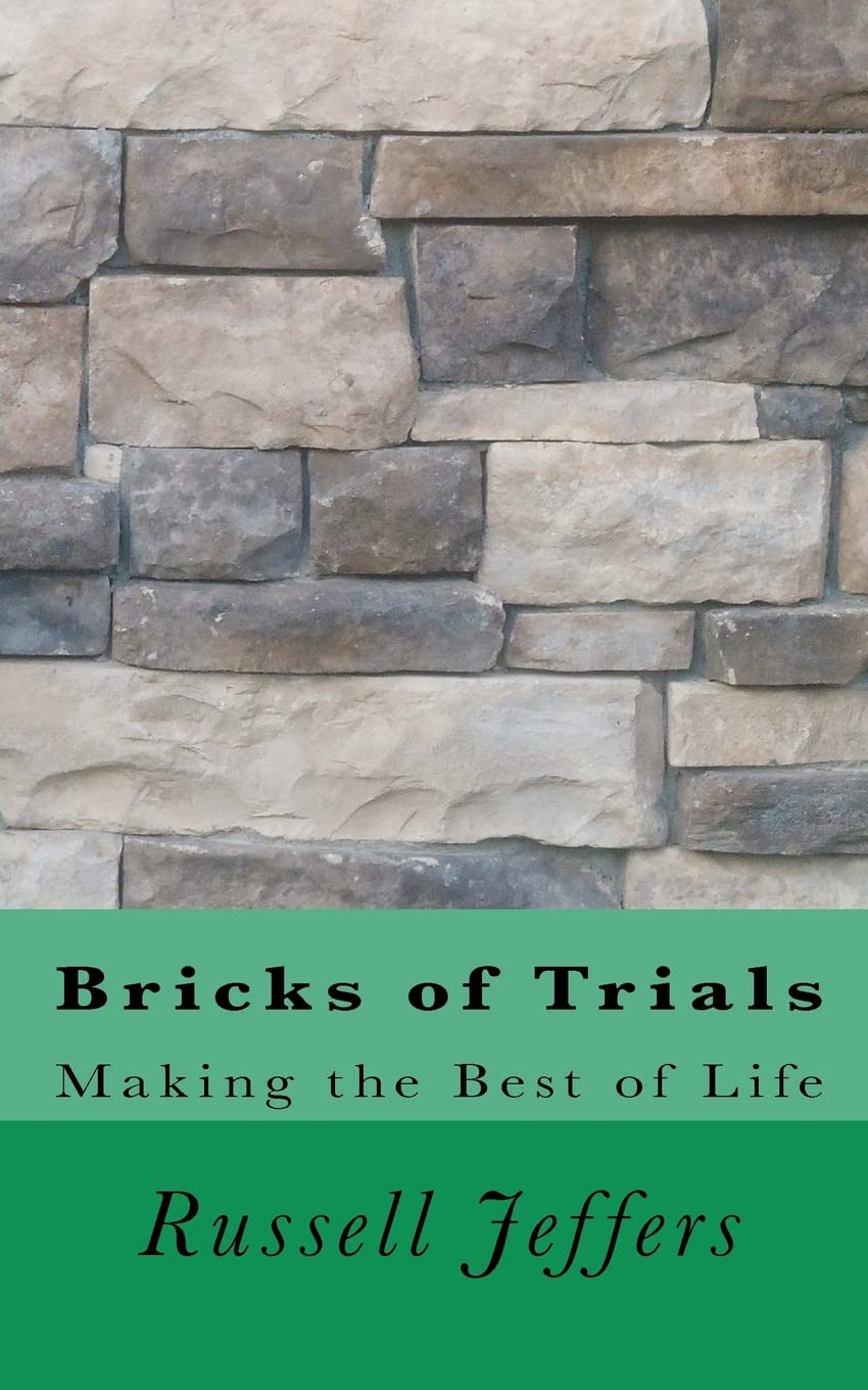 Bricks of Trials: Making the Best of Life Lifestyle