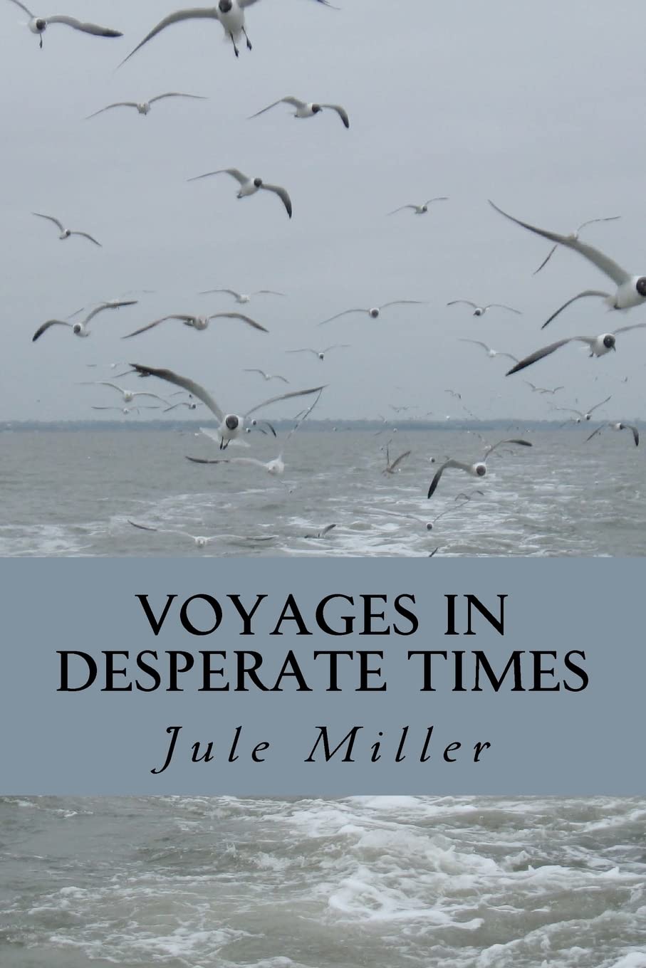 Voyages in Desperate Times Historical Fiction