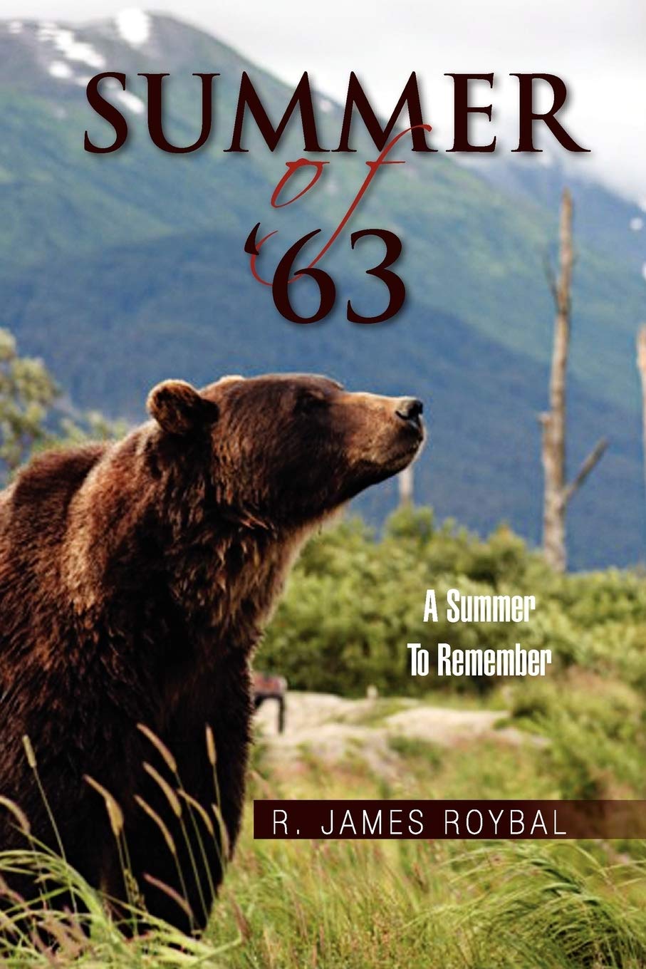 Summer of '63: One Teenager's Summer Vacation Adventures: One Teenager’s Summer Vacation Adventures Memories