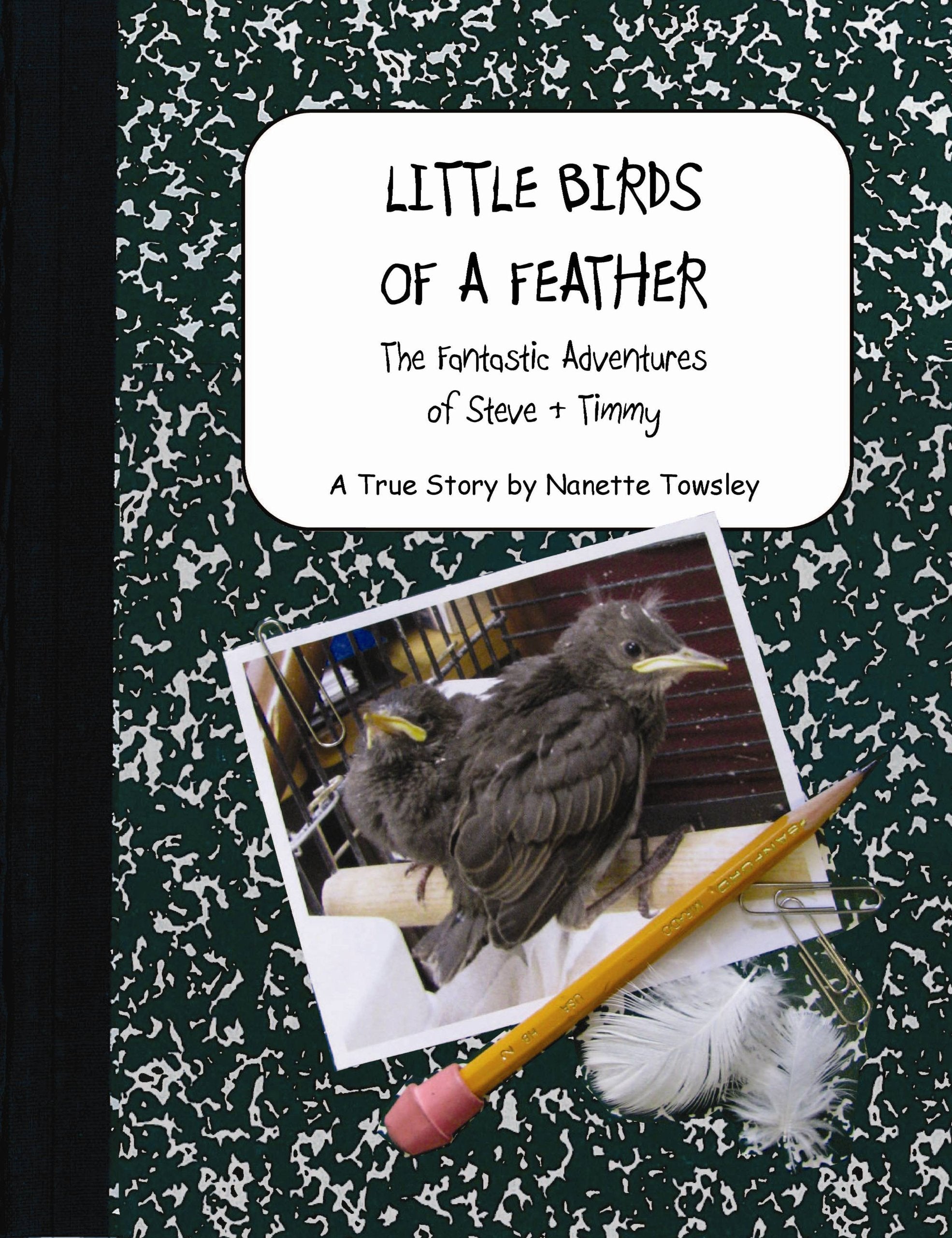 Little Birds of a Feather: The Fantastic Adventures of Steve & Timmy Novels & Short Stories