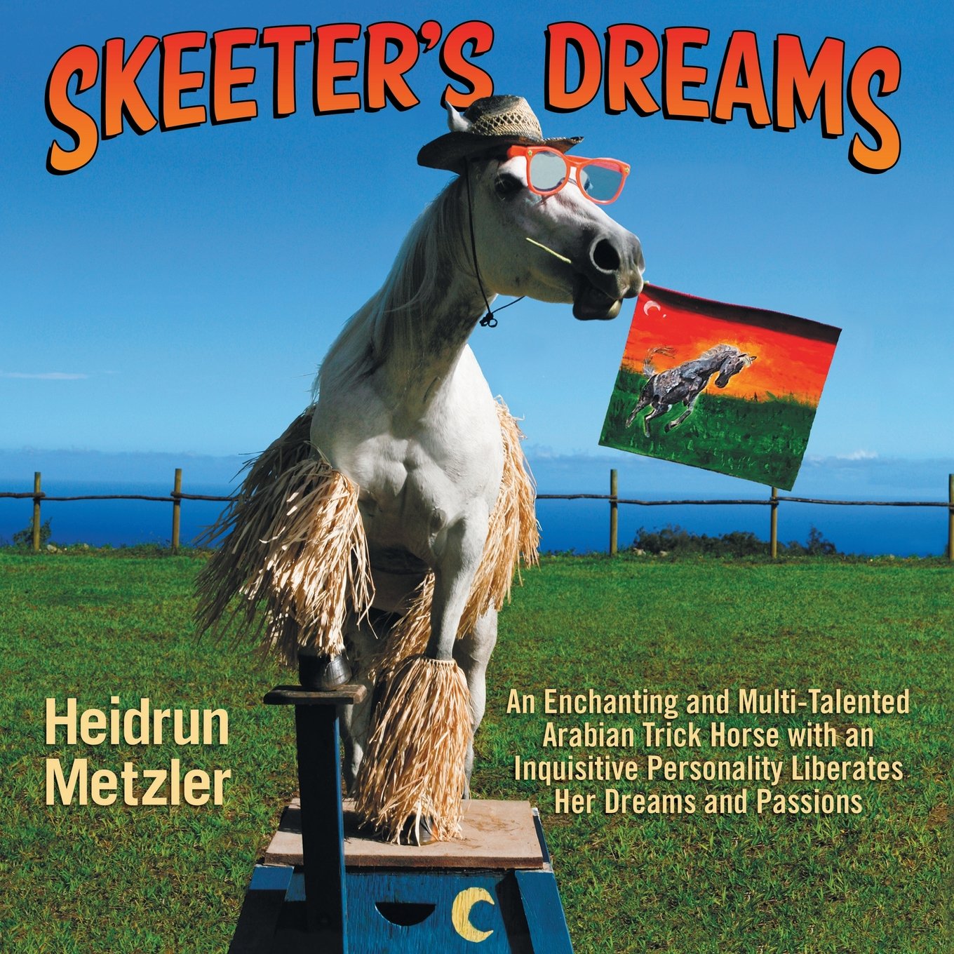 Skeeter's Dreams: An Enchanting and Multi-Talented Arabian Trick Horse with an Inquisitive Personality Liberates Her Dreams and Passions book