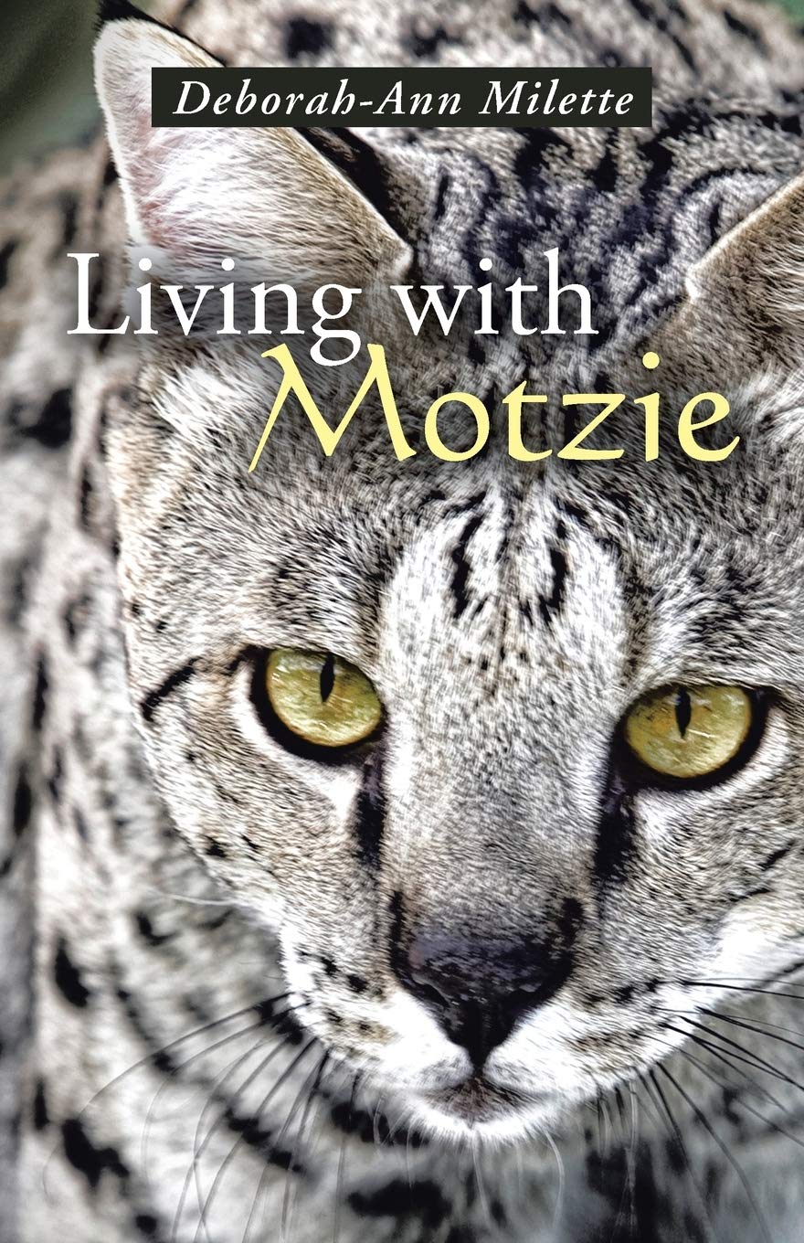 Living with Motzie Memories