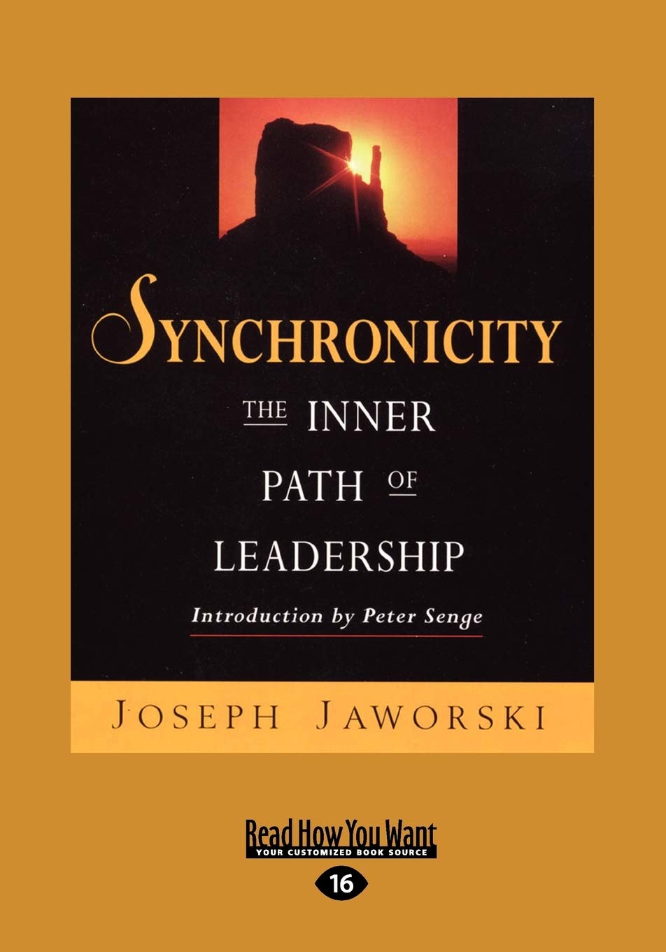 Synchronicity (Large Print 16pt) Business, Finance & Career