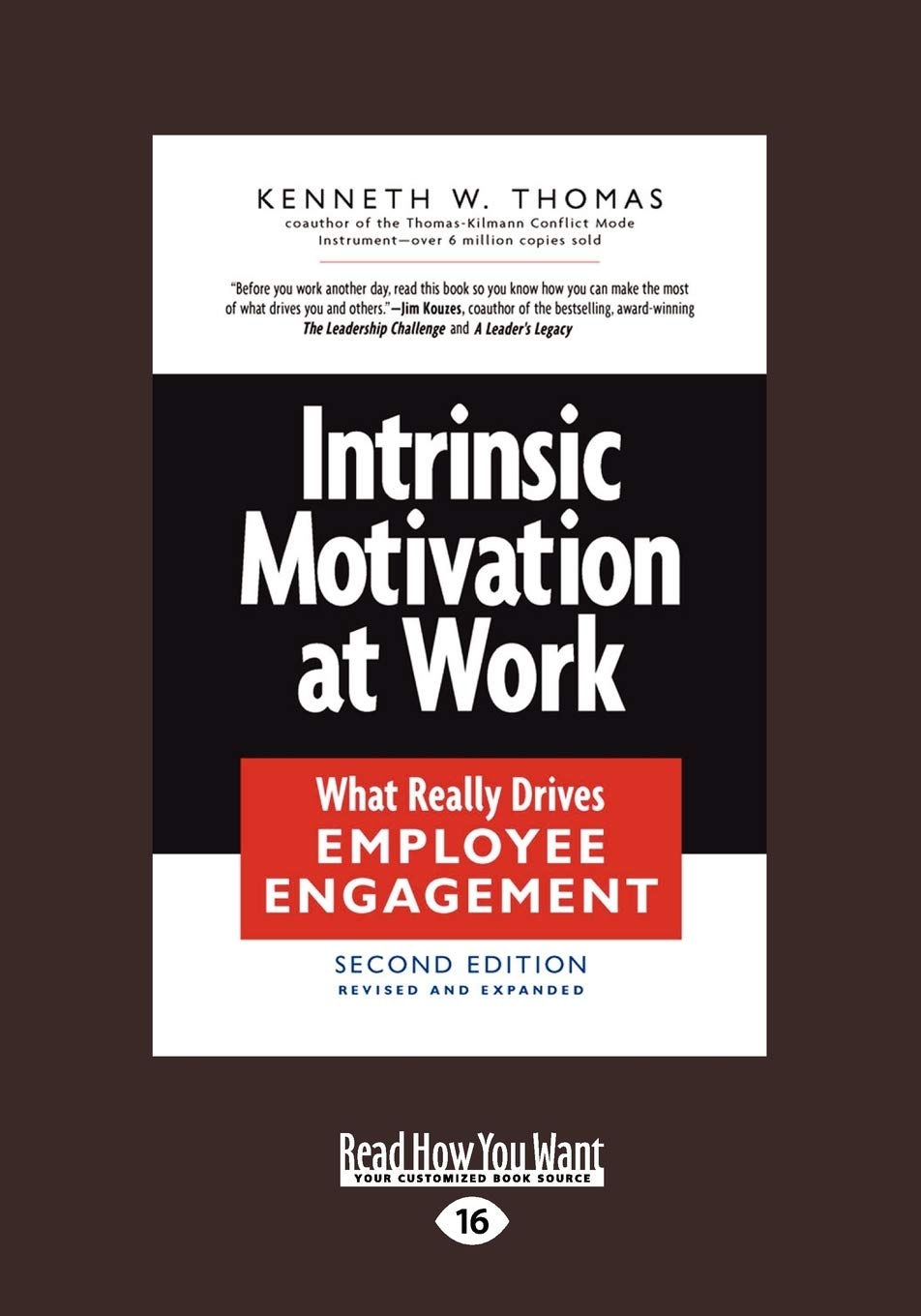 Intrinsic Motivation at Work: : What Really Drives Employee Engagement (Large Print 16pt) Business, Finance & Career