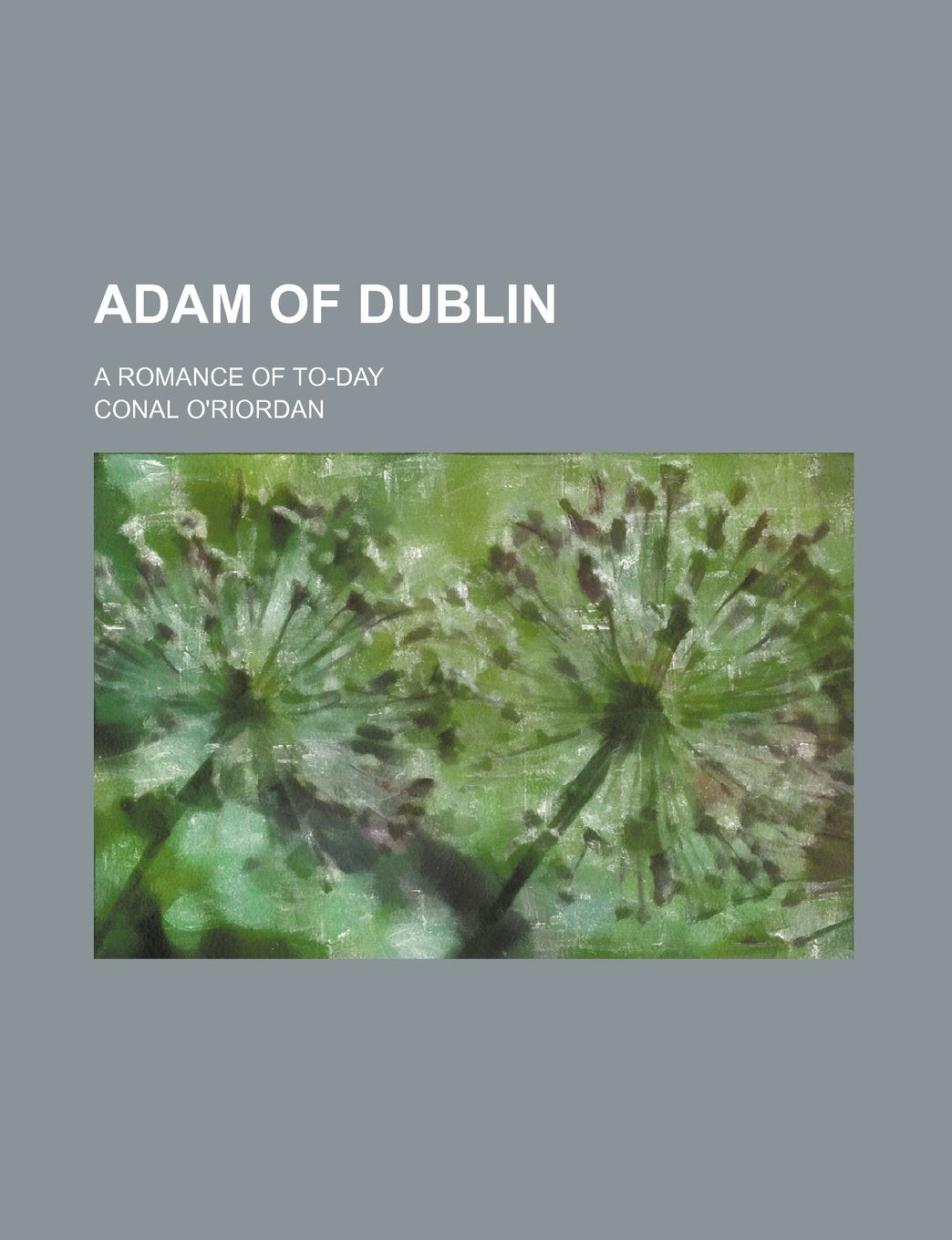 Adam of Dublin; A Romance of To-Day Politics & History