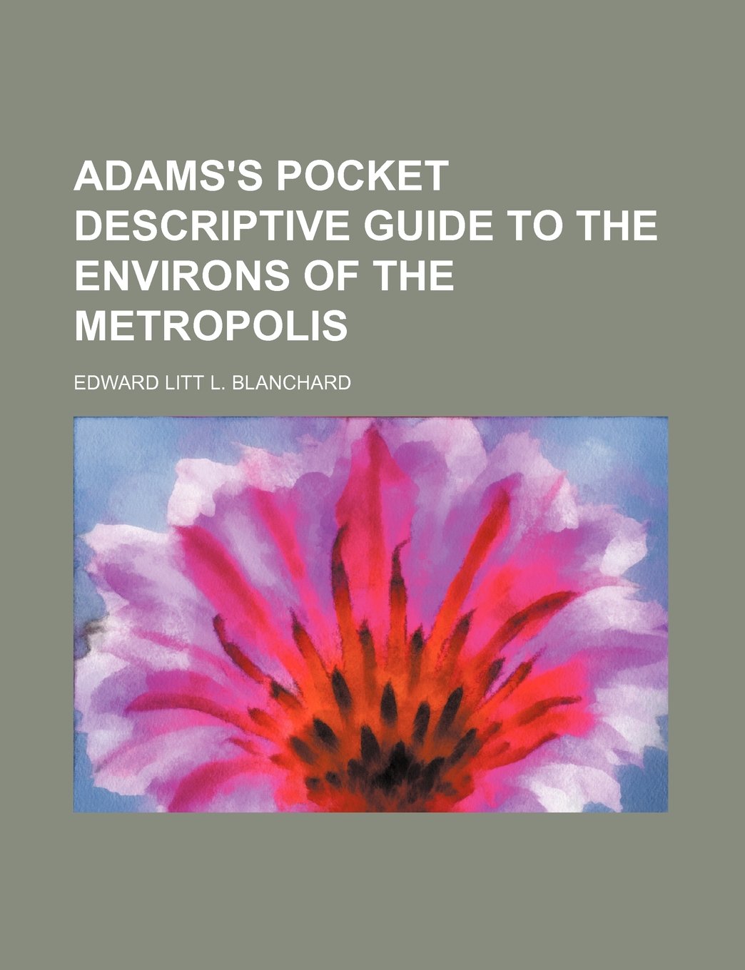 Adams's Pocket Descriptive Guide to the Environs of the Metropolis Books