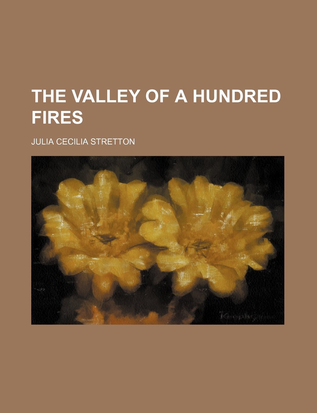 The Valley of a Hundred Fires (Volume 3) Politics & History