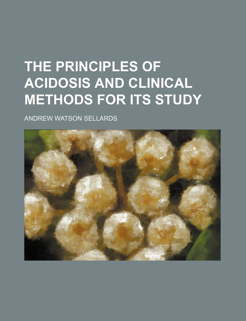 The Principles of Acidosis and Clinical Methods for Its Study Medicine