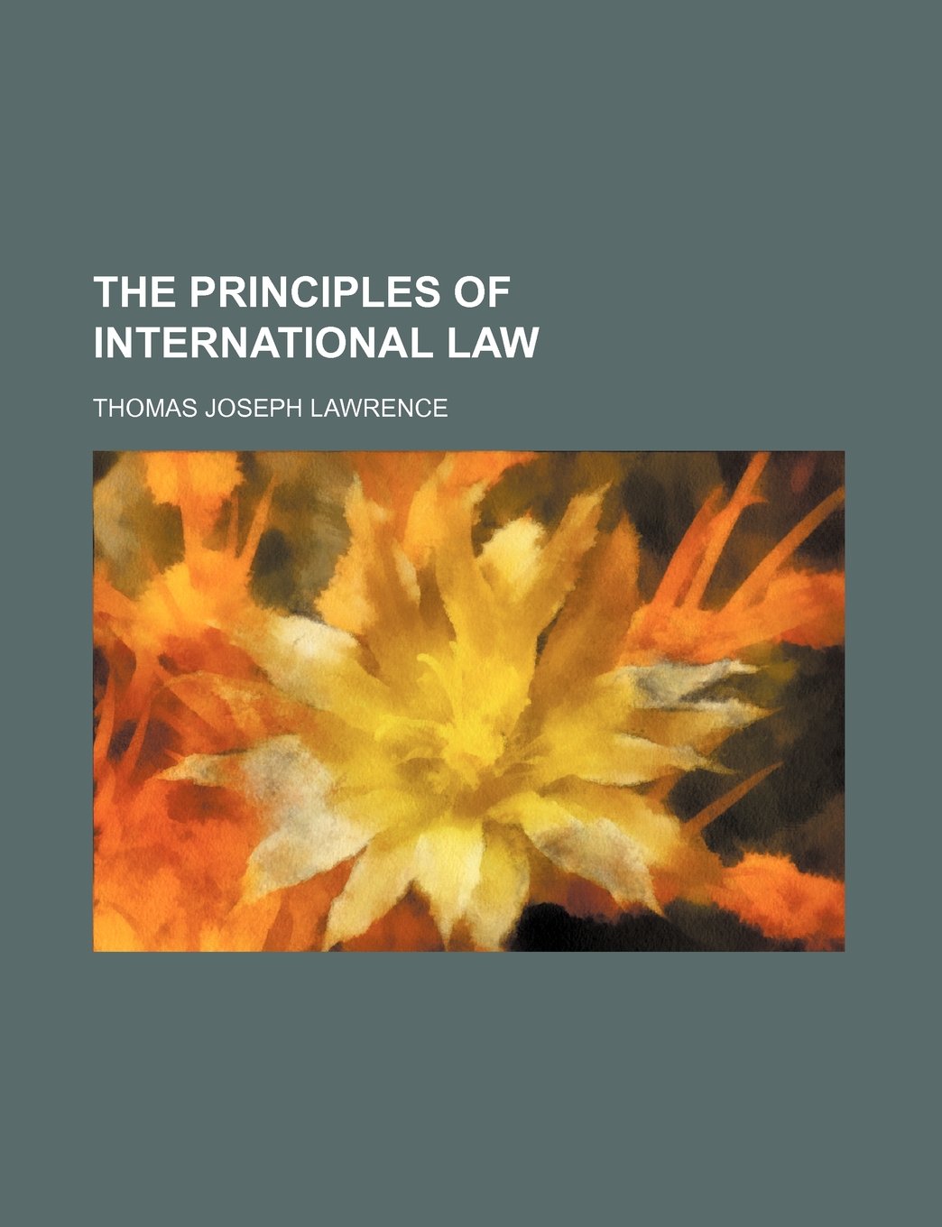 Principles of International Law Books