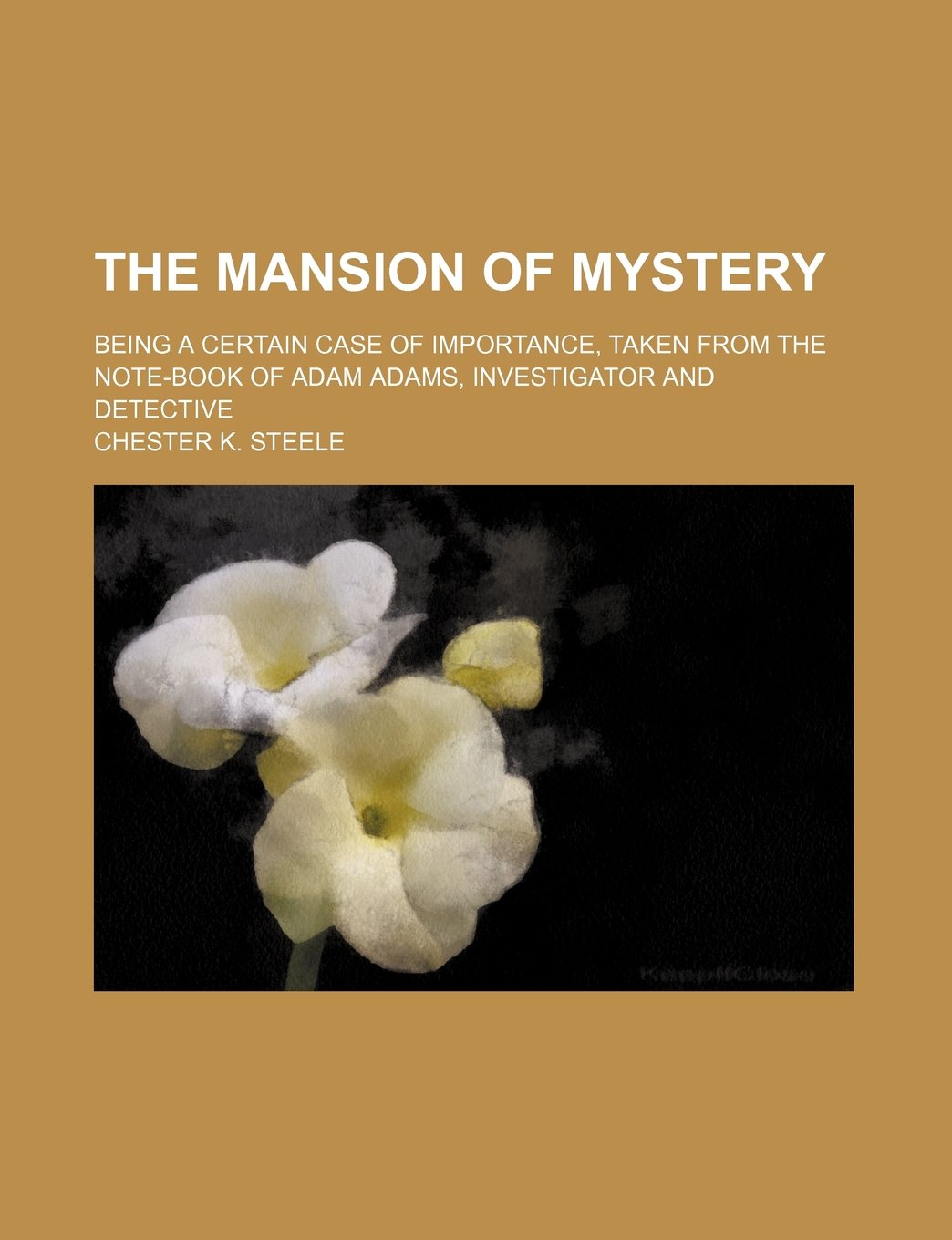 The Mansion of Mystery; Being a Certain Case of Importance, Taken from the Note-Book of Adam Adams, Investigator and Detective Books
