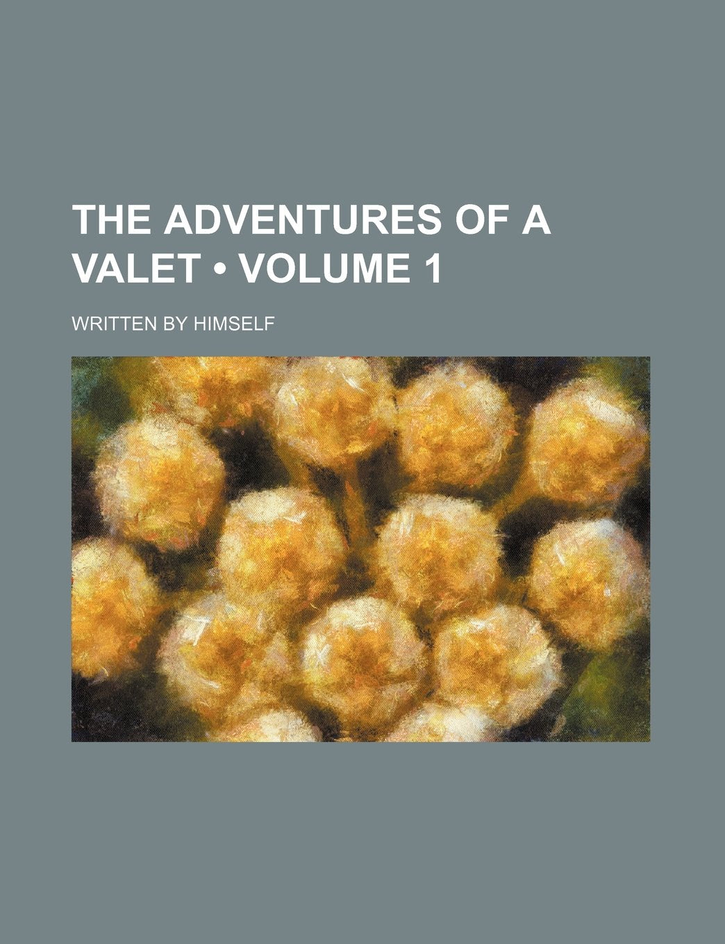 The Adventures of a Valet (Volume 1); Written by Himself Books