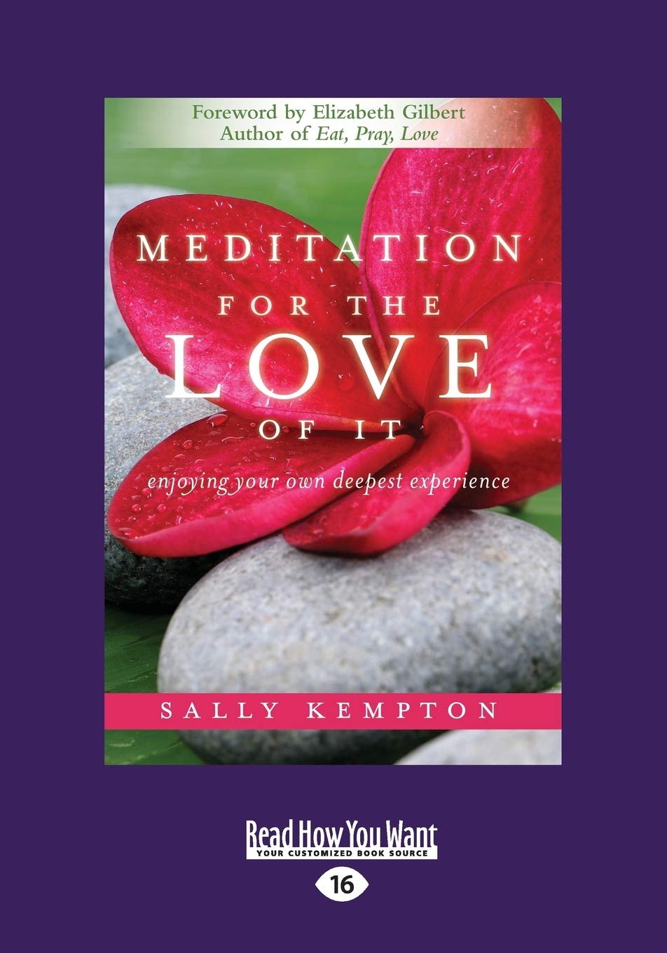 Meditation for the Love of It: Enjoying Your Own Deepest Experience Lifestyle