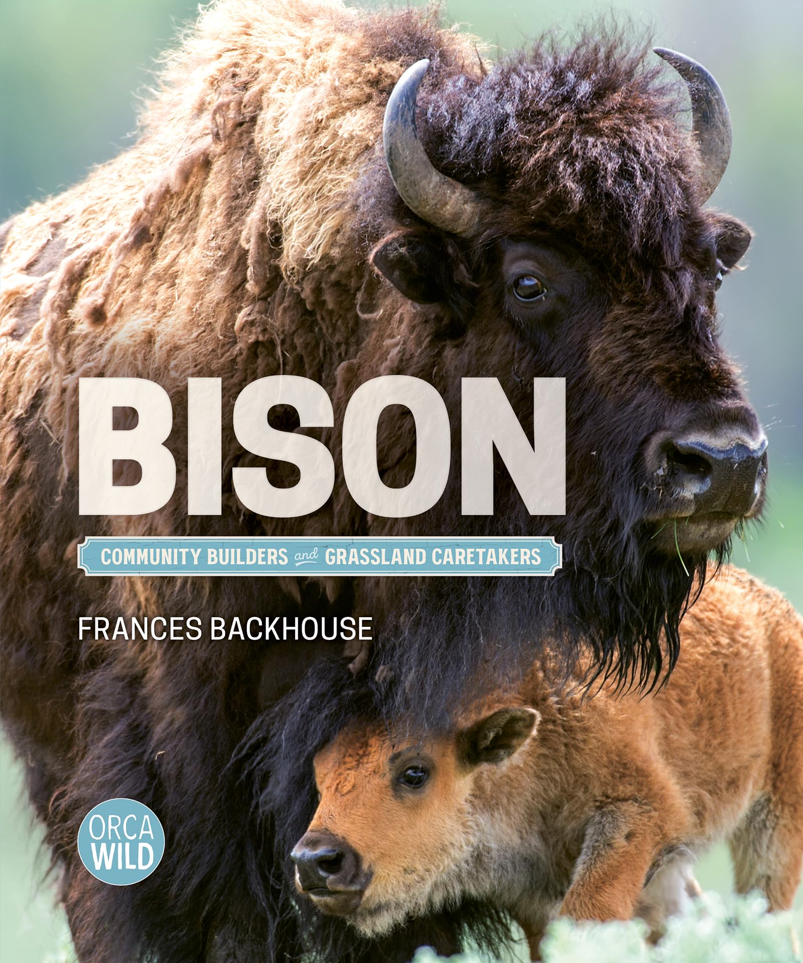 Bison: Community Builders and Grassland Caretakers (Orca Wild, 17) Natural Sciences