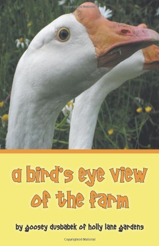 A Bird's Eye View of the Farm Leisure, Home & Garden