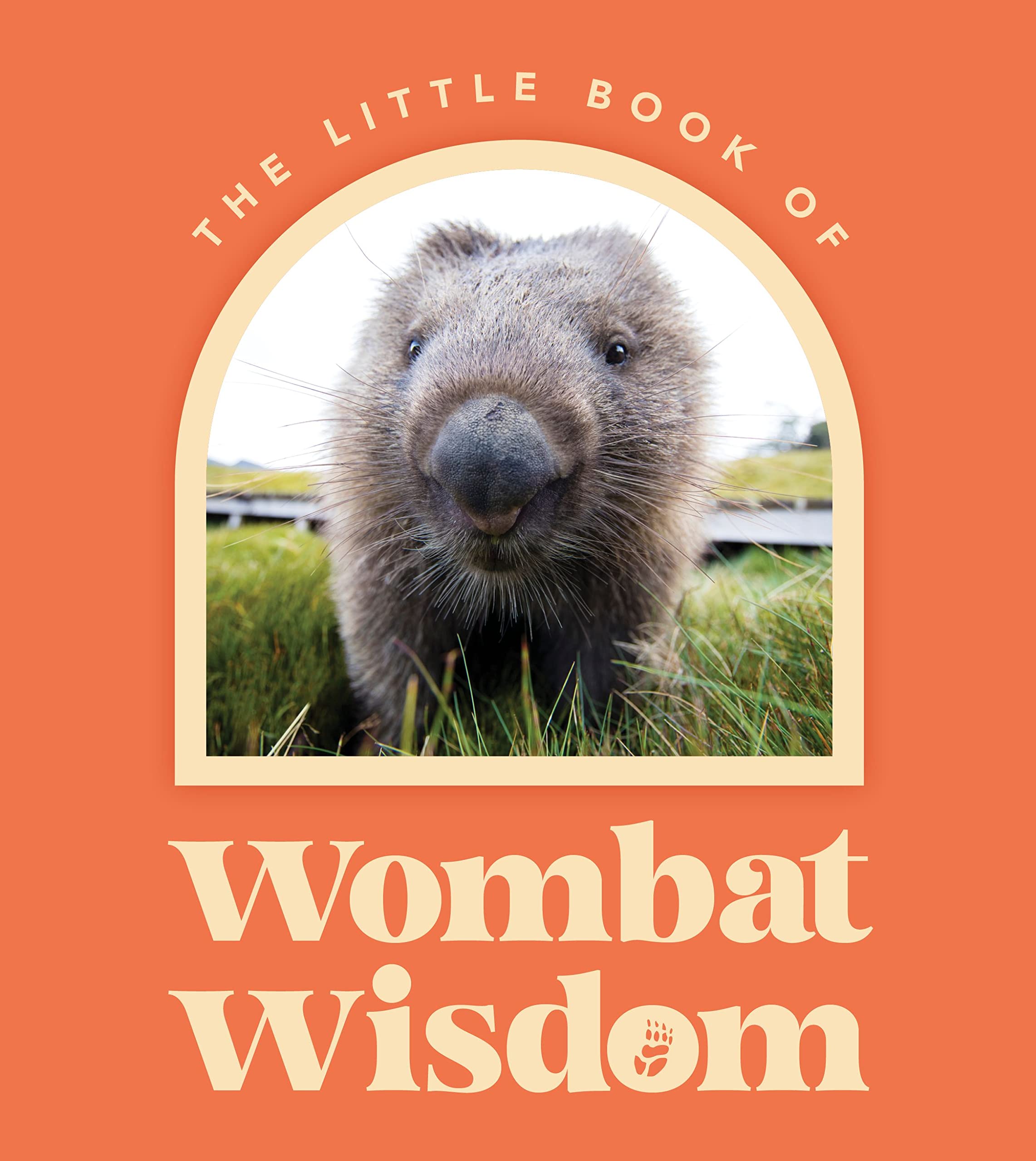 Little Book of Wombat Wisdom Mathematics
