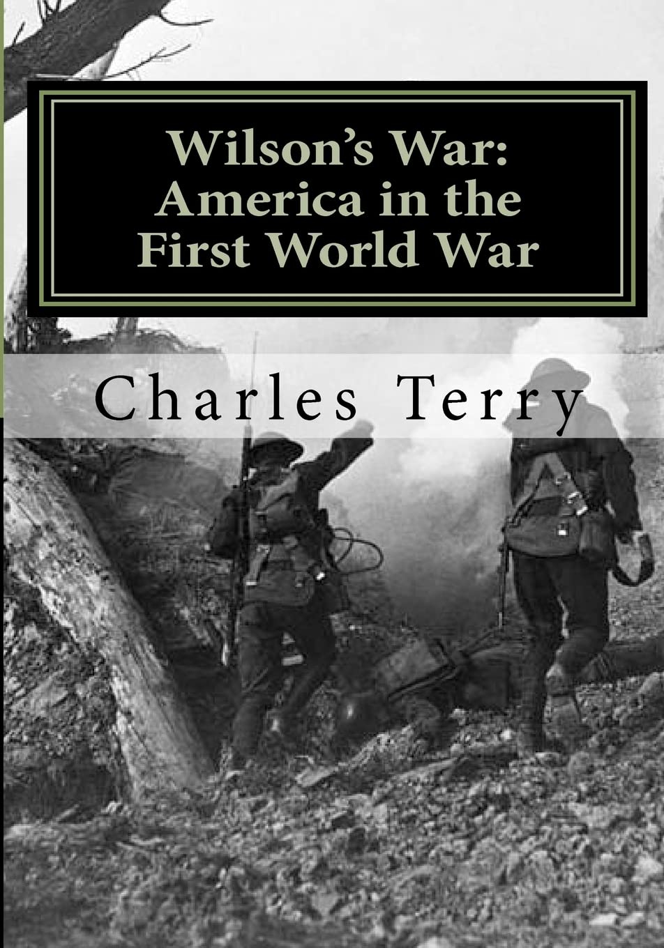 Wilson's War: America in the First World War book