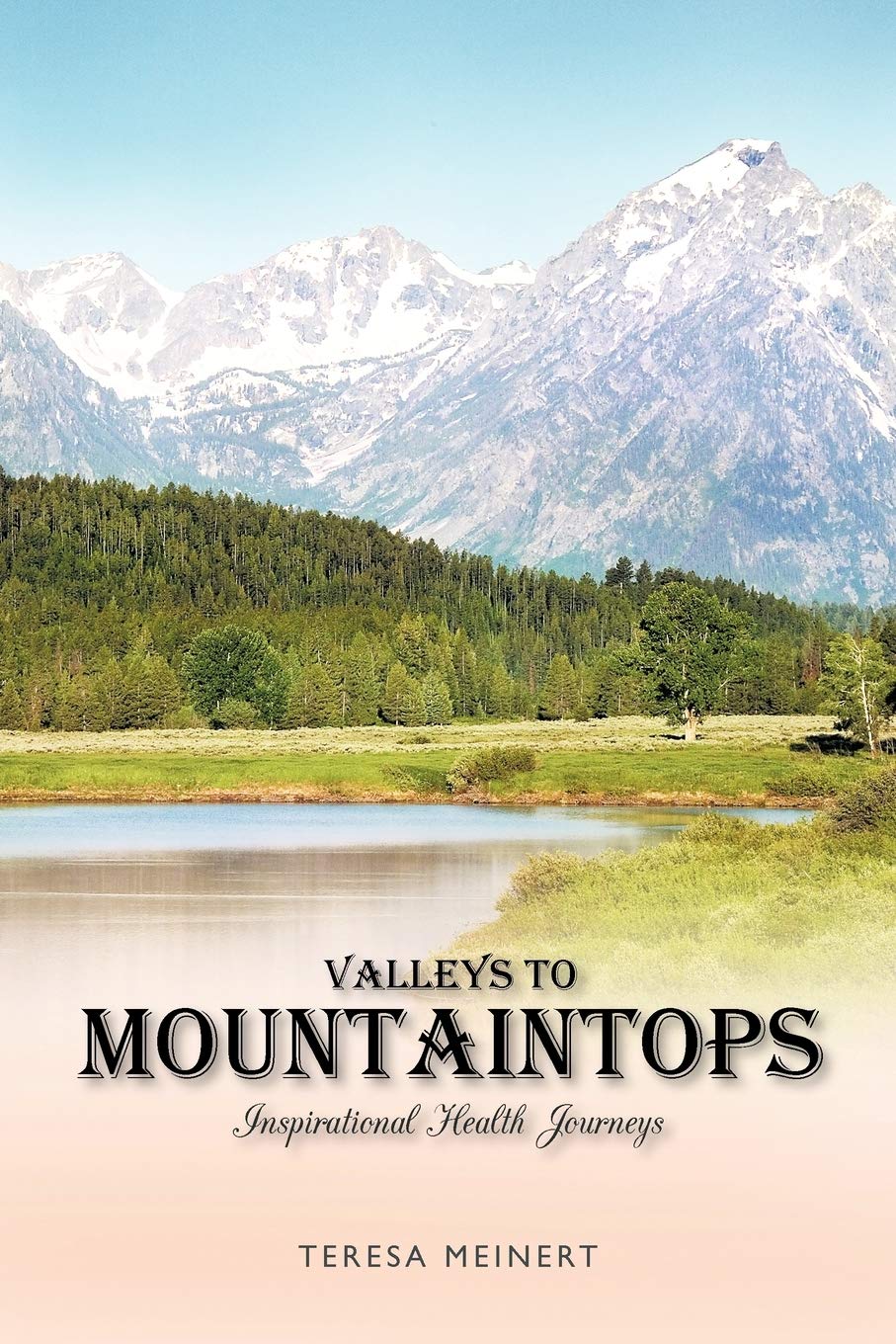 Valleys To Mountaintops: Inspirational Health Journeys Learning & Reference