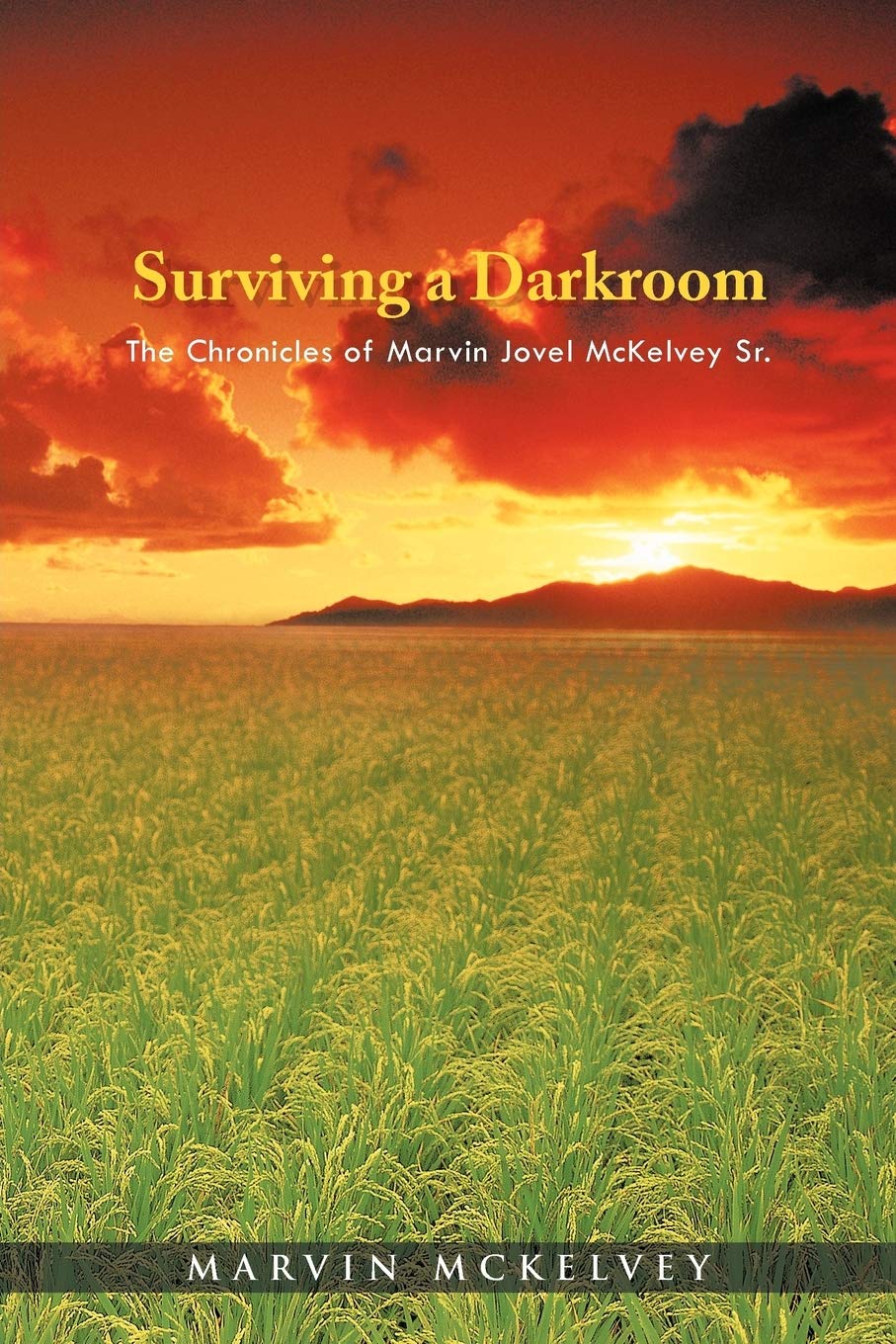 Surviving A Darkroom: The Chronicles Of Marvin Jovel Mckelvey Sr. Art & Literature