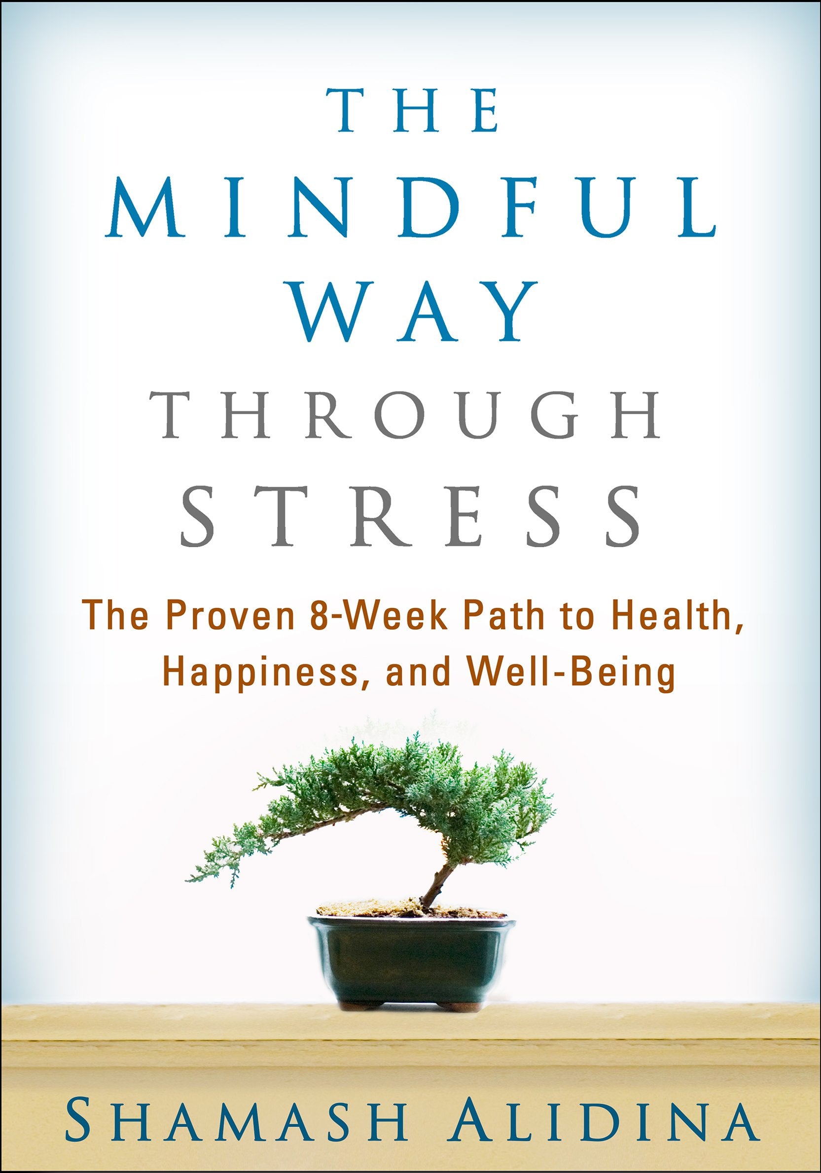 The Mindful Way Through Stress Medicine