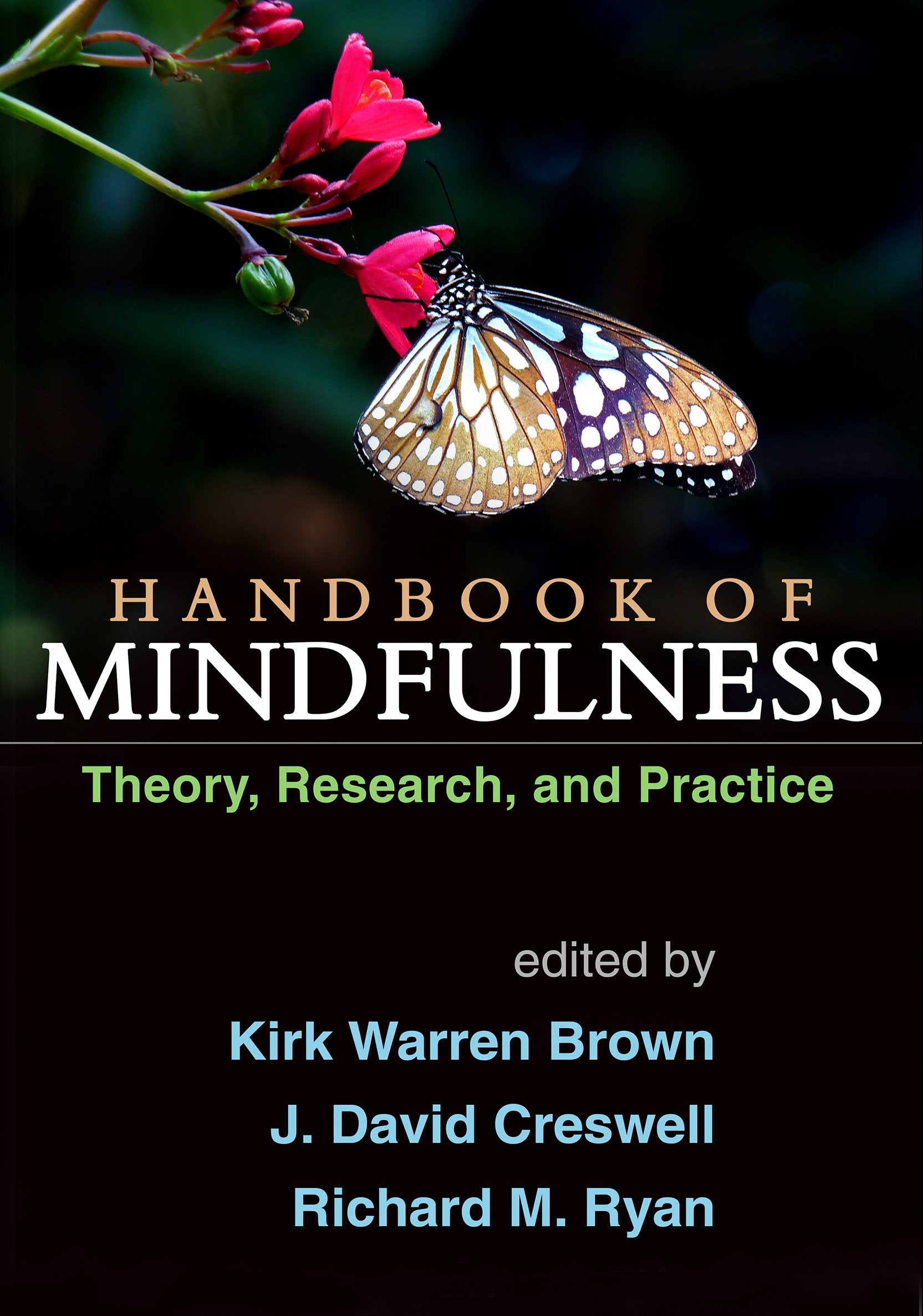 Handbook of Mindfulness: Theory, Research, and Practice Medicine