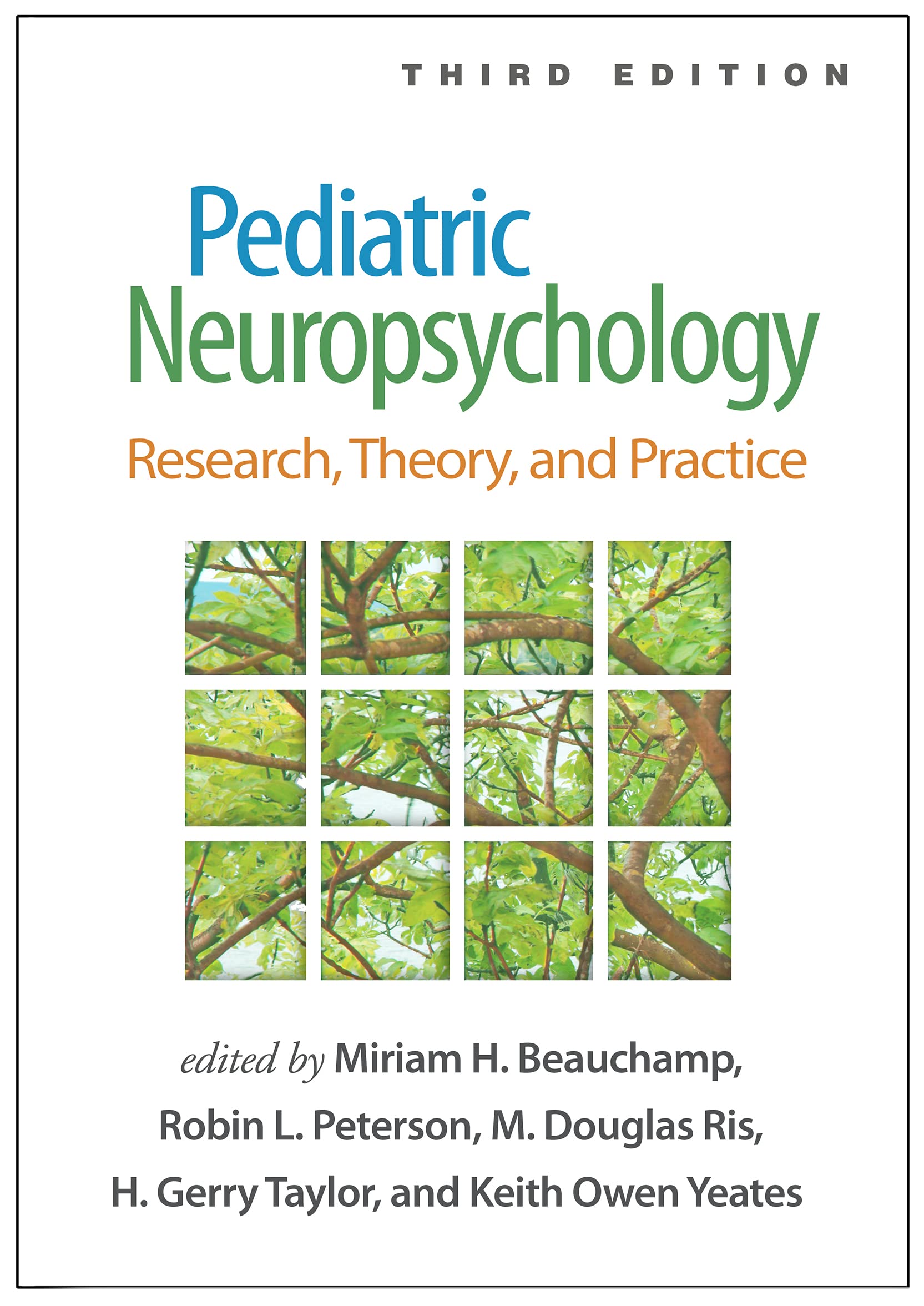 Pediatric Neuropsychology: Research, Theory, And Practice Medicine