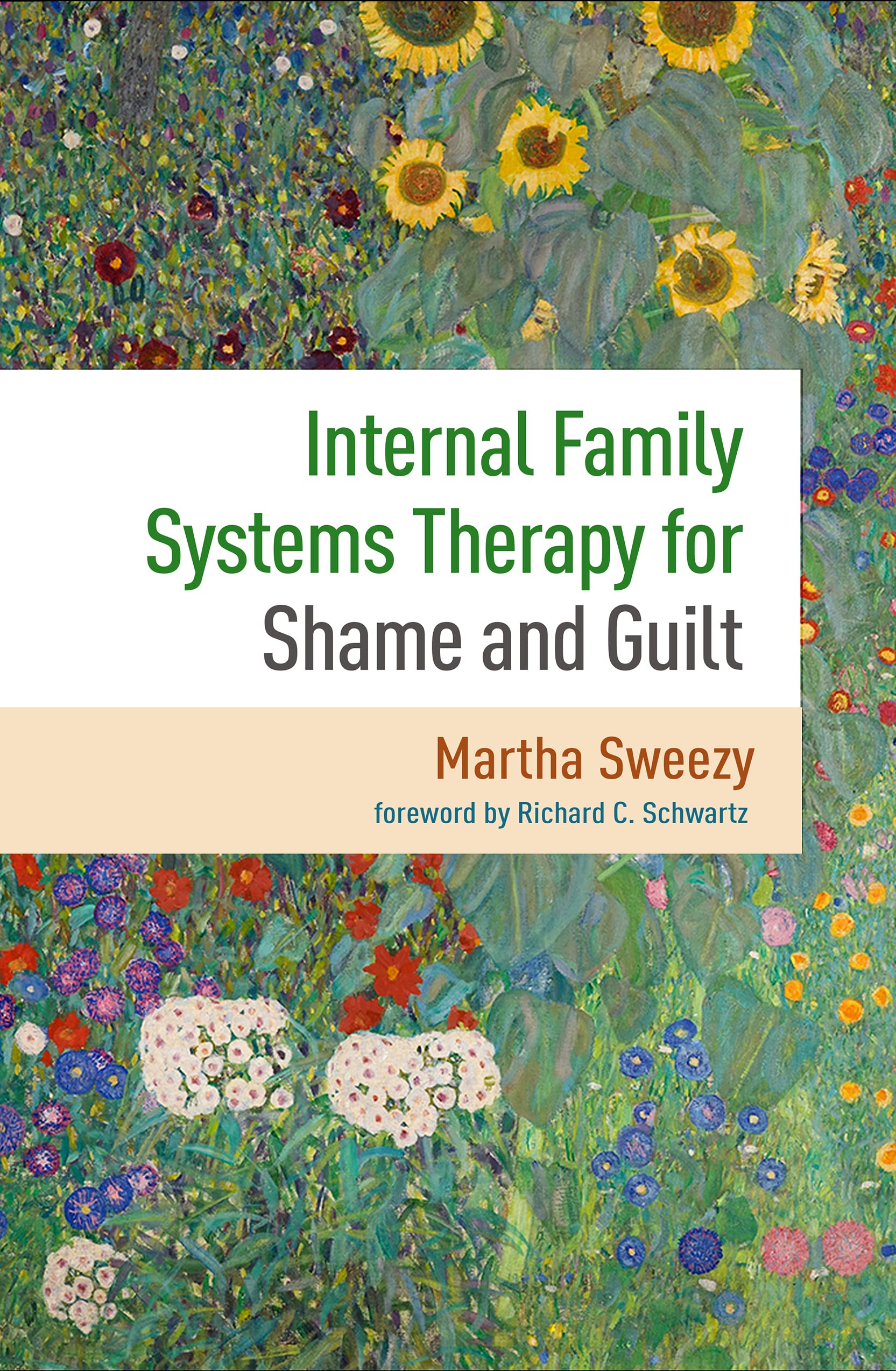 Internal Family Systems Therapy for Shame and Guilt: 0 Medicine